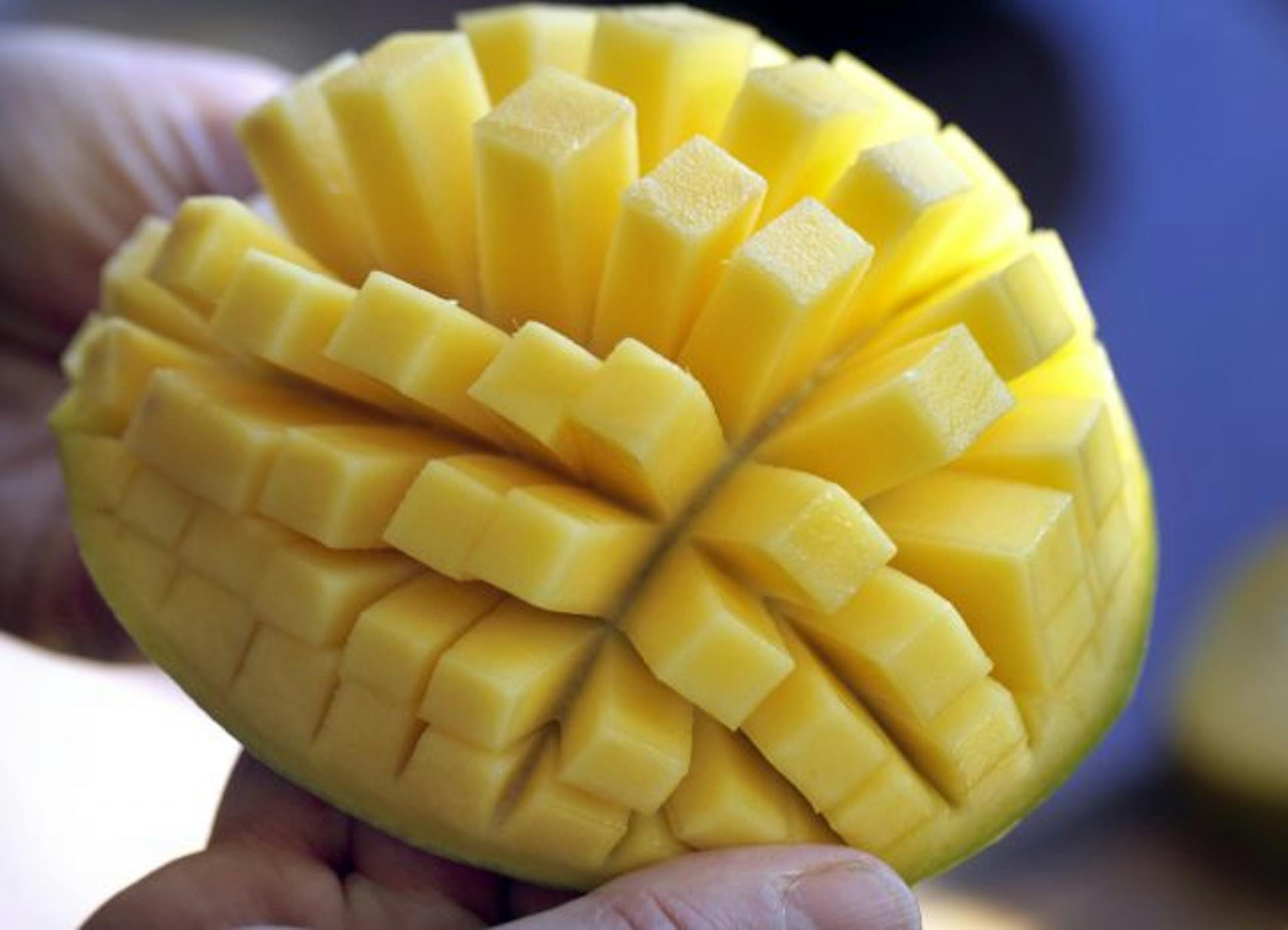 A mango can be slippery to slice, so try this: Cut along each side of the large seed, then score each half. "Bending" it inside out lets you slice off the fruit easily.