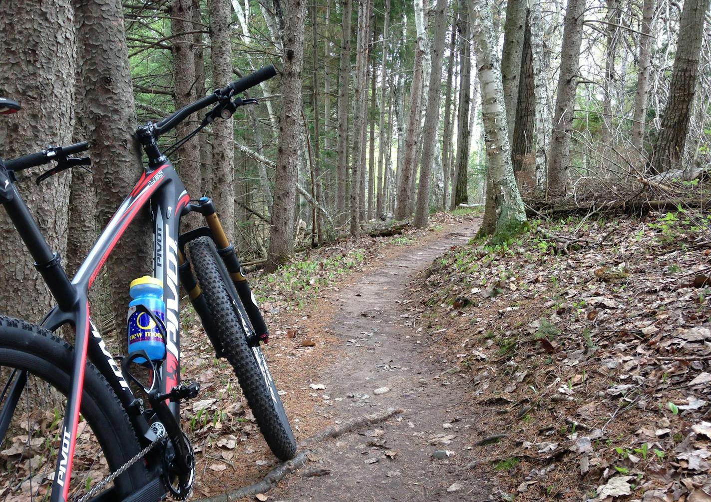 The Chequamegon Area Mountain Bike Association's Fish Hatchery Trail offers cyclists challenging and scenic miles. (Photo courtesy of Chris Young)