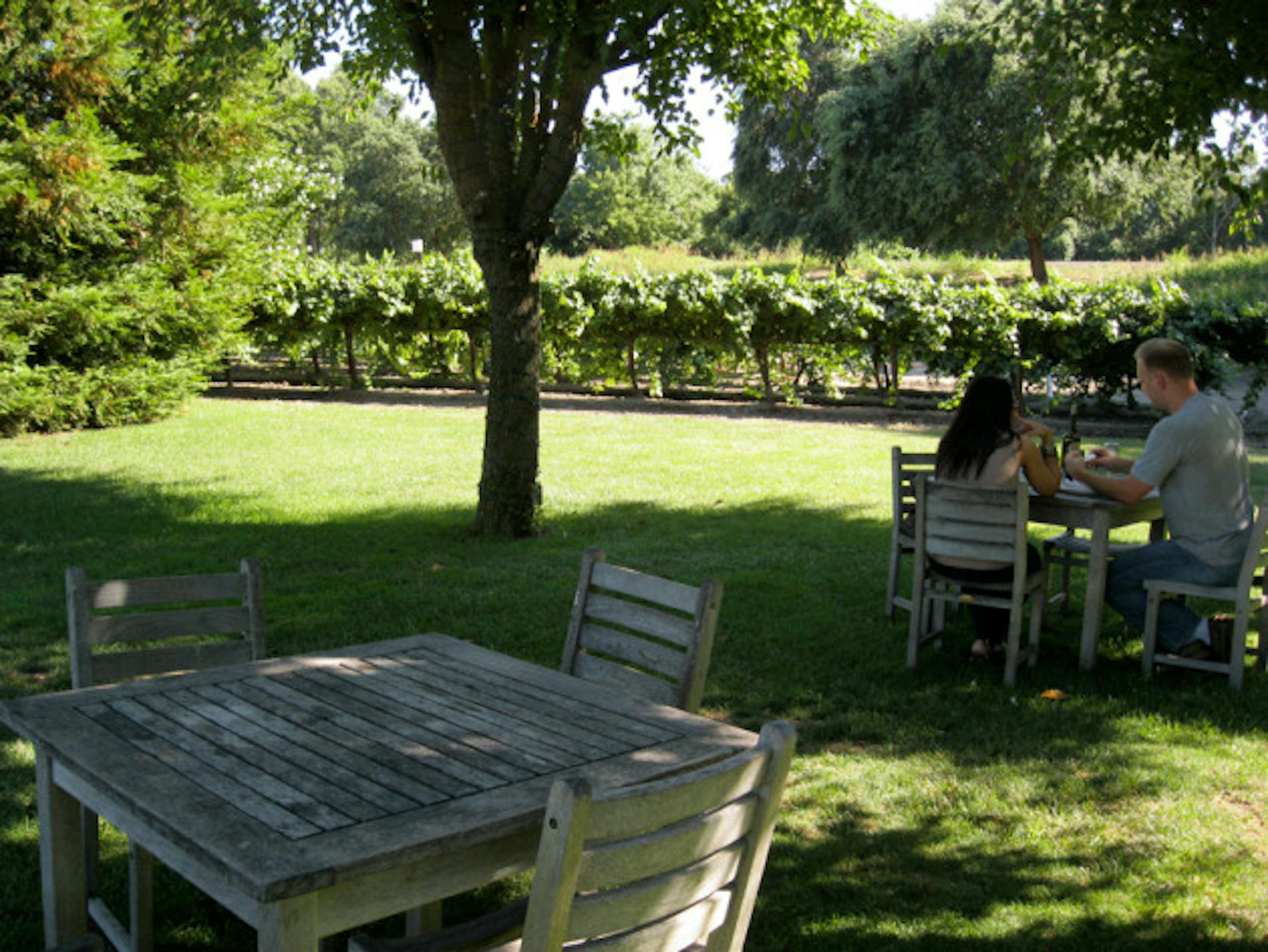 If you visit Bogle, bring a picnic lunch. You can sample wines, buy a bottle for below retail, then enjoy it out among the vines.