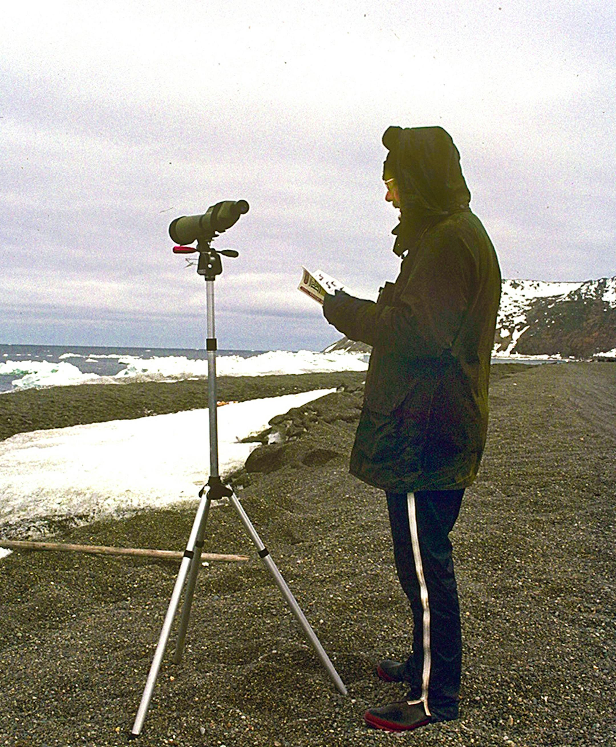 Birder on St. Lawrence Island in Alaska looking for clues to bird identification.