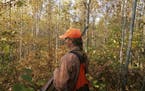 Meadow Kouffeld-Hansen, a Ruffed Grouse Society wildlife biologist, hunted ruffies and woodcock last year north of Grand Rapids, Minn. Sar Tribune fil