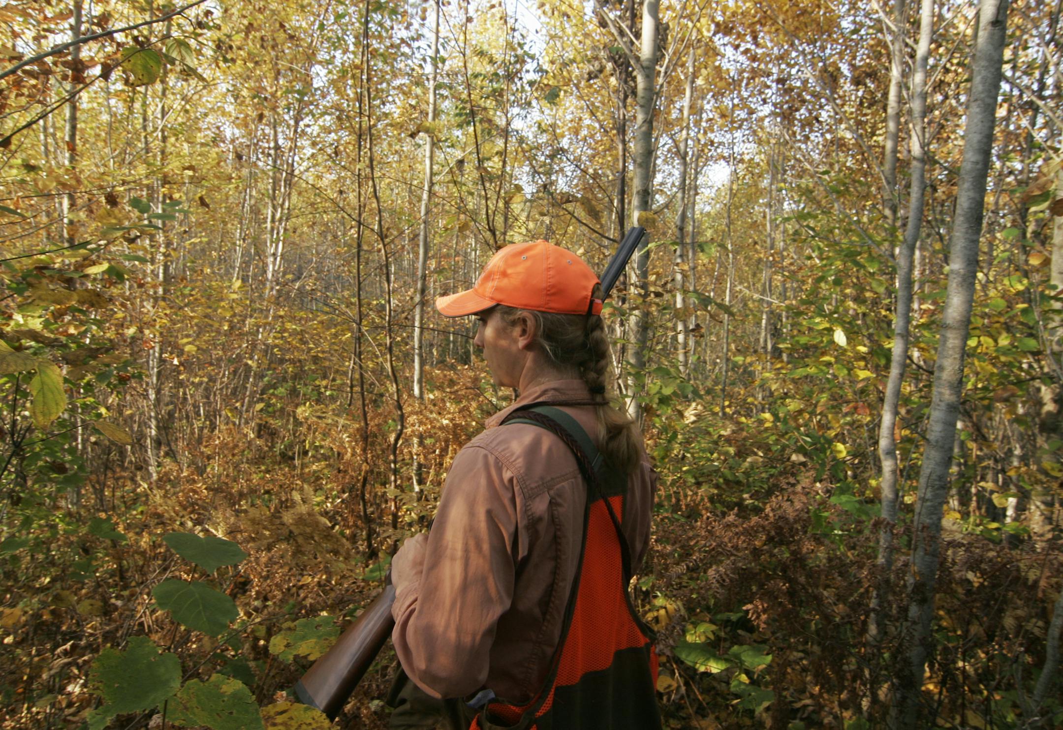 Meadow Kouffeld-Hansen, a Ruffed Grouse Society wildlife biologist, hunted ruffies and woodcock last year north of Grand Rapids, Minn. Sar Tribune file photo by Doug Smith. ORG XMIT: MIN1409291908341238