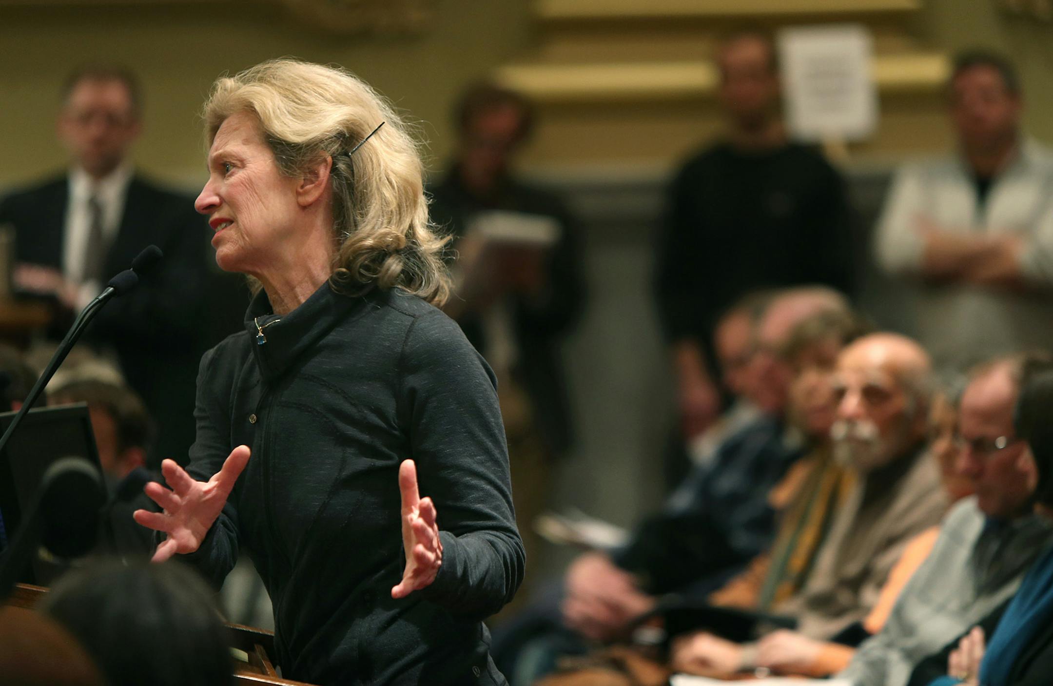 Terry Pearson spoke at the public hearing regarding the Linden Hills, Fulton, Armatage, Kenny and Lynhurst neighborhoods teardown moratorium, during the Zoning and Planning Committee meeting at Minneapolis City Hall, Thursday, March 20, 2014.