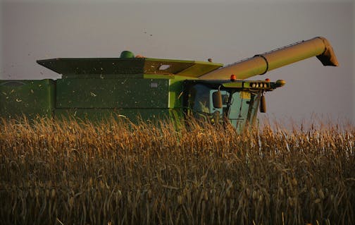 Despite production pressures and the coronavirus downturn, land values are holding steady in Minnesota and the Upper Midwest. That's key to farmers' ability to finance operations. File photo of a corn harvester in central Illinois.