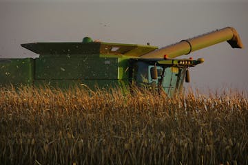 Despite production pressures and the coronavirus downturn, land values are holding steady in Minnesota and the Upper Midwest. That's key to farmers' a