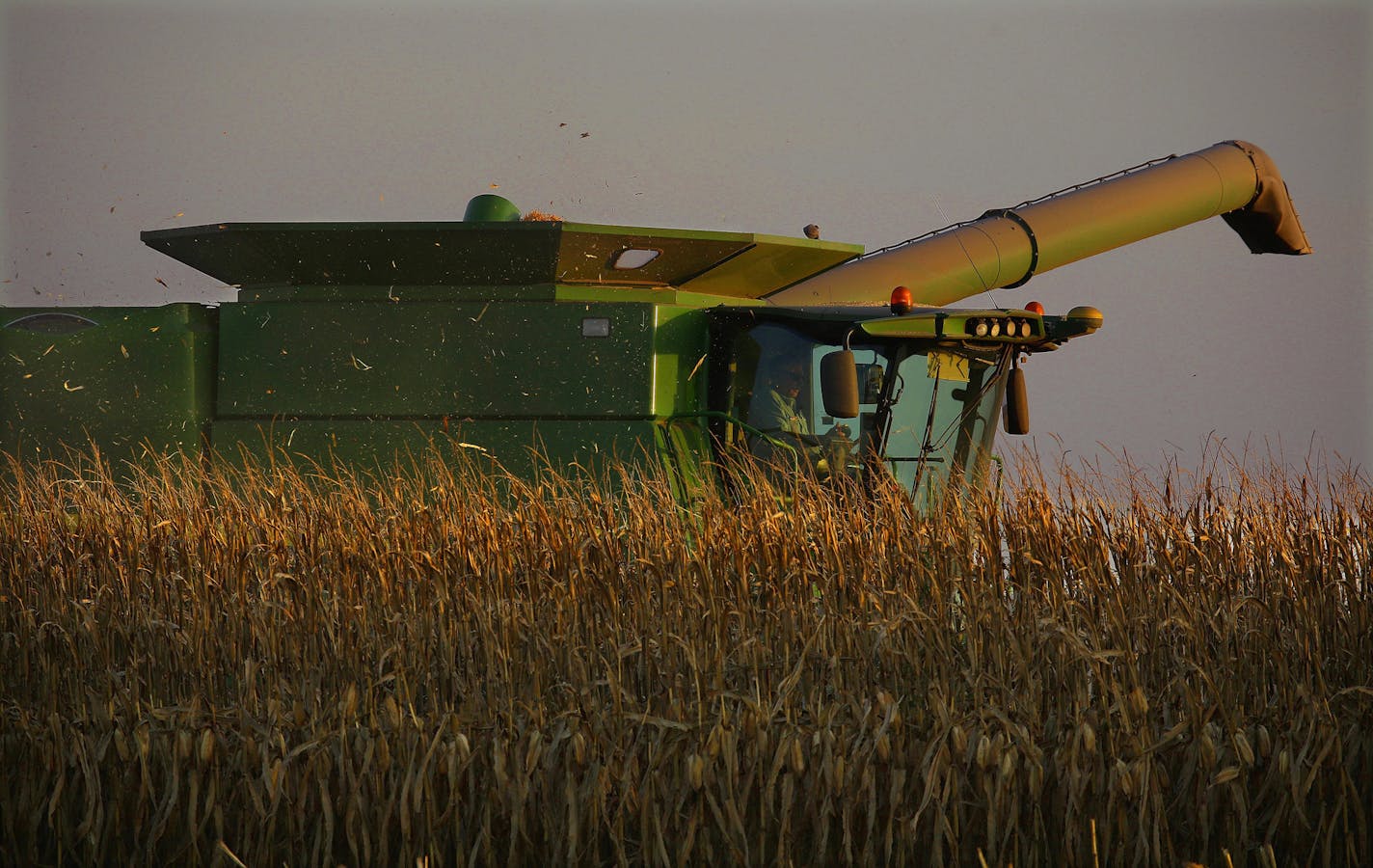 Despite production pressures and the coronavirus downturn, land values are holding steady in Minnesota and the Upper Midwest. That's key to farmers' ability to finance operations. File photo of a corn harvester in central Illinois.