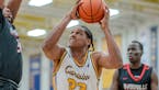 Frank Mitchell, who ranked fourth in the nation in rebounding with Canisius, is transferring to the Gophers.