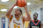 Frank Mitchell, who ranked fourth in the nation in rebounding with Canisius, is transferring to the Gophers.