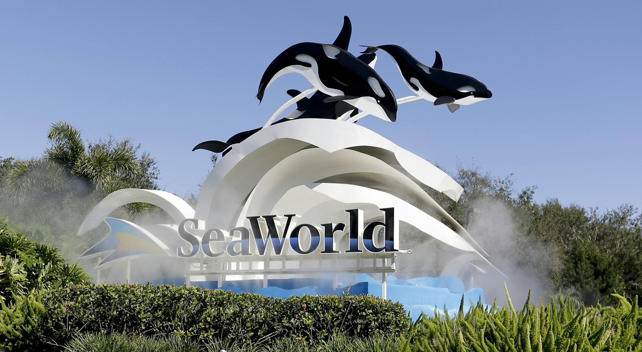 FILE - This Jan. 31, 2017 file photo shows the entrance to Sea World in Orlando, Fla. Shares of SeaWorld, which have been cut in half since coming under scrutiny over the killer whales it holds in captivity, are up 12 percent before the opening bell after a big investment from China. SeaWorld announced Friday, March 24, 2017 that Zhonghong Zhuoye Group Co., real estate holding company, has acquired a 21 percent stake from Blackstone Group at $23 per share. (AP Photo/John Raoux)