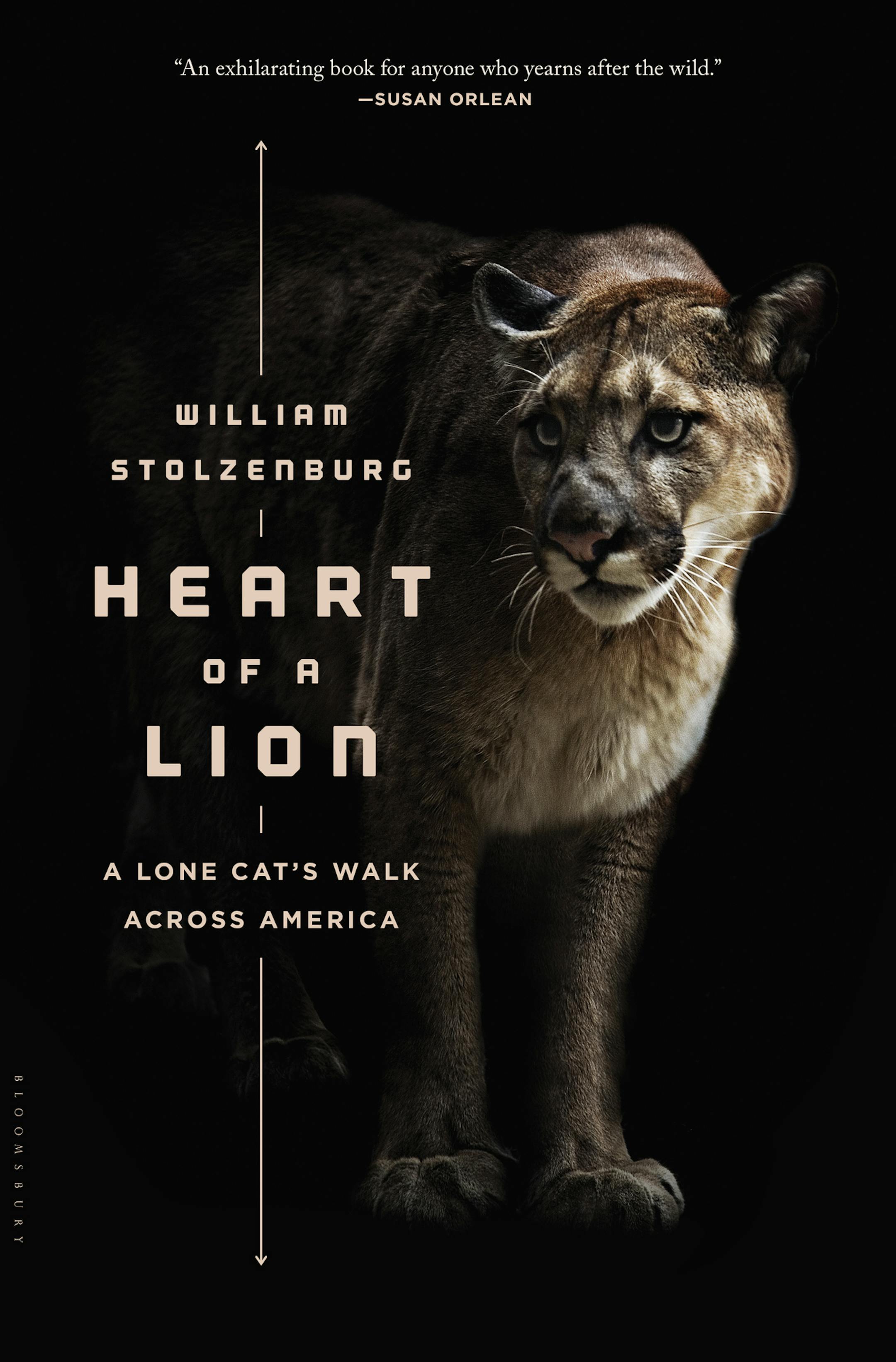 "Heart of a Lion," by William Stolzenburg