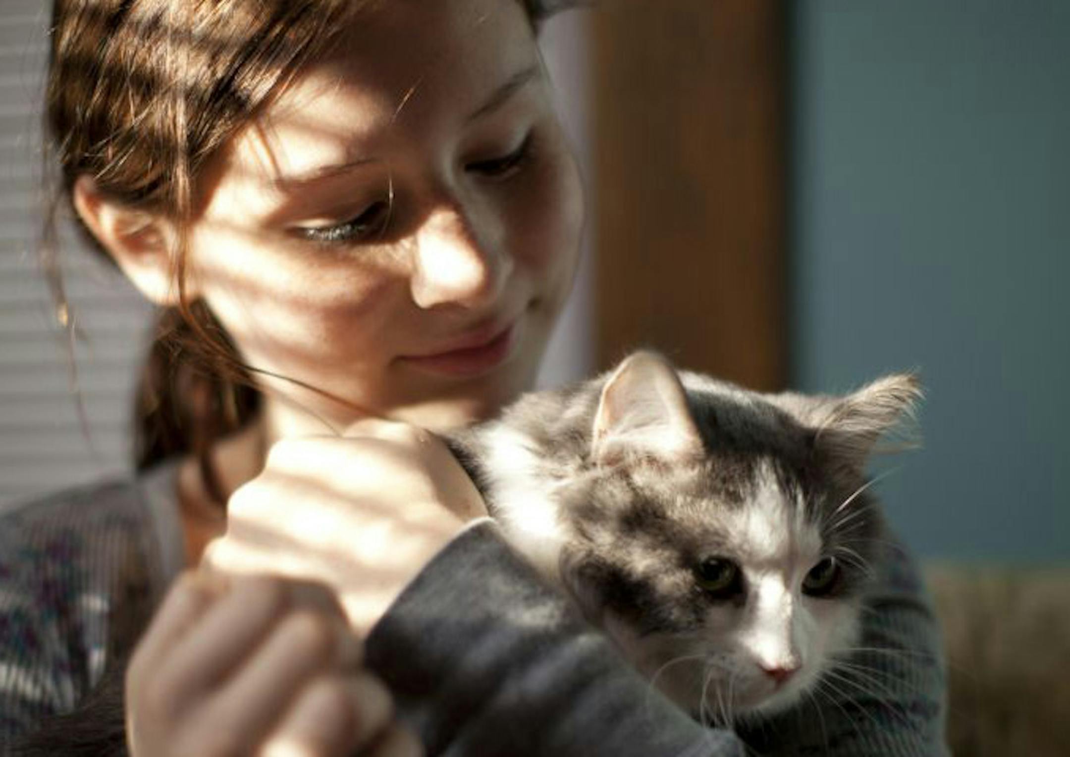 Claire Forsell, 12, held Cosmo, the cat she and her mother, Lisa Forsell, adopted from Minneapolis Animal Care & Control a couple of weeks ago. Facebook played a key role in finding Cosmo a home.