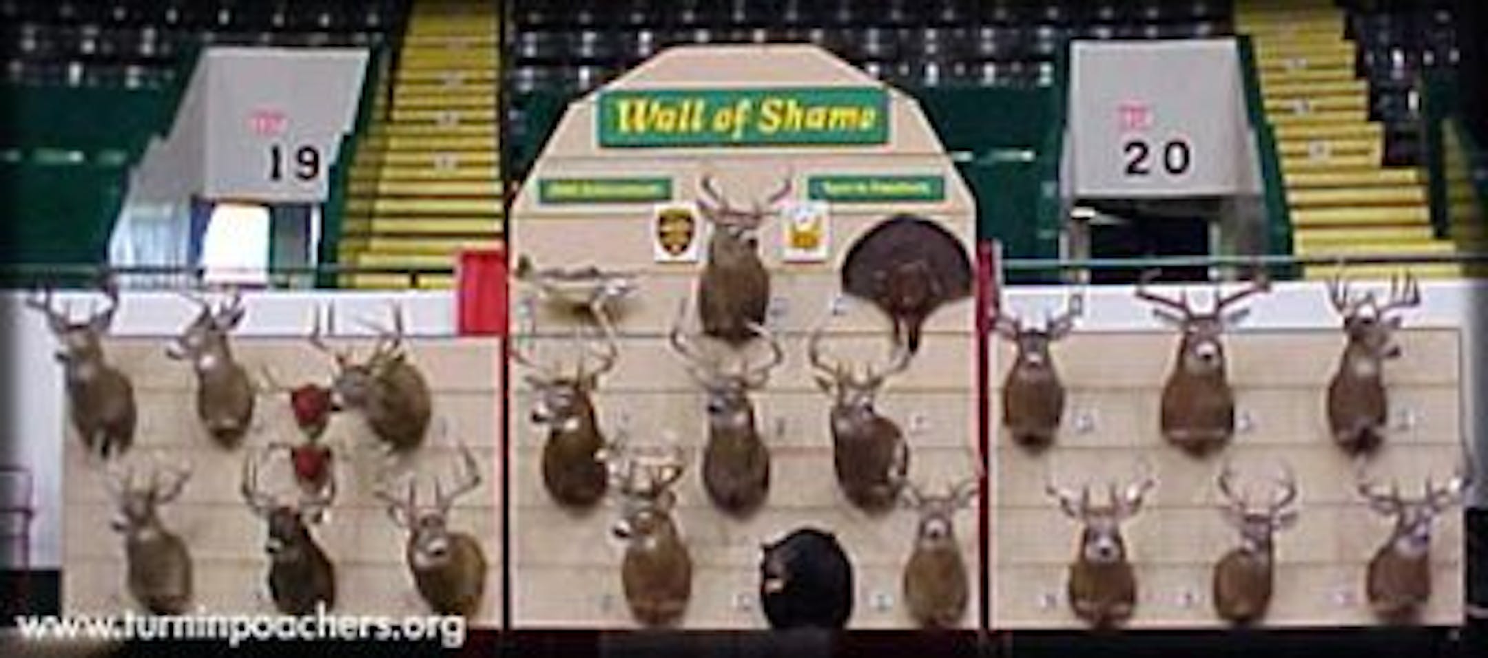 The DNR's "Wall of Shame" traveling exhibit is now missing all 18 whitetail trophy mounts. The DNR also lost thousands of dollars worth of tools and equipment.