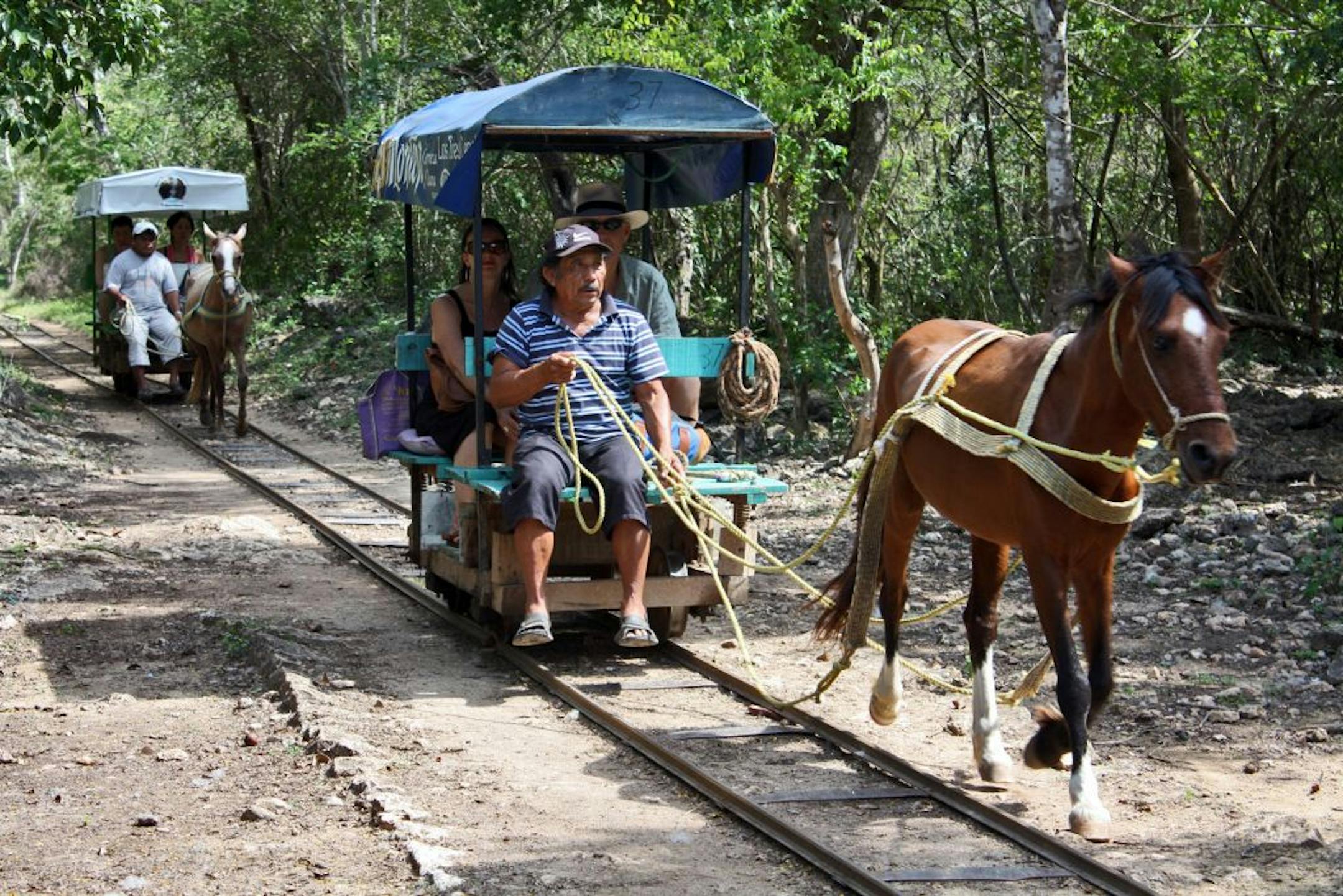 To get to the cenotes from the village of Chunkanan, visitors ride in horse-drawn "trucks" along a narrow rail track.