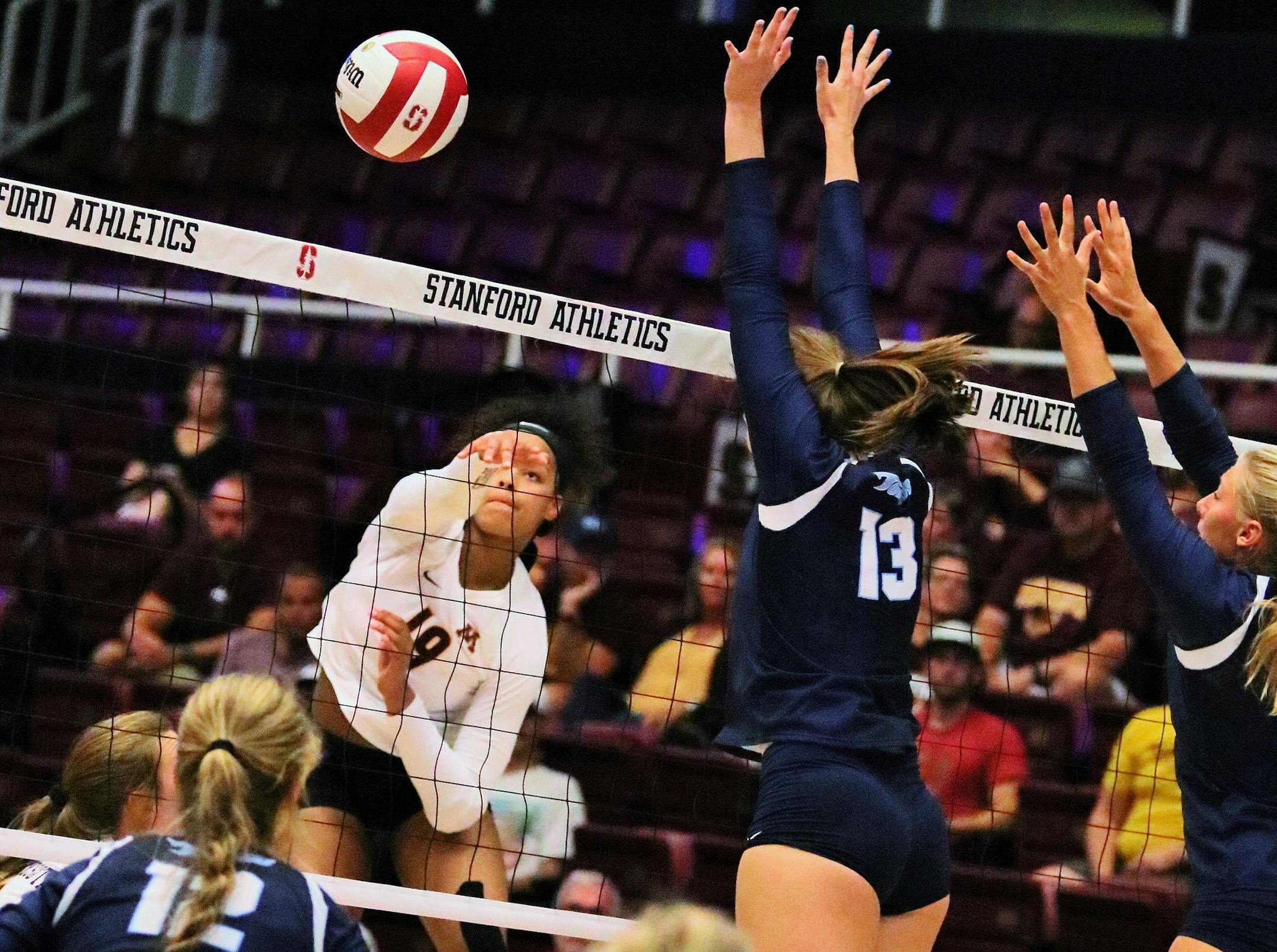 Gophers volleyball freshman outside hitter Alexis Hart