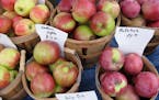 Fresh apples at the Bloomington Farmers Market.