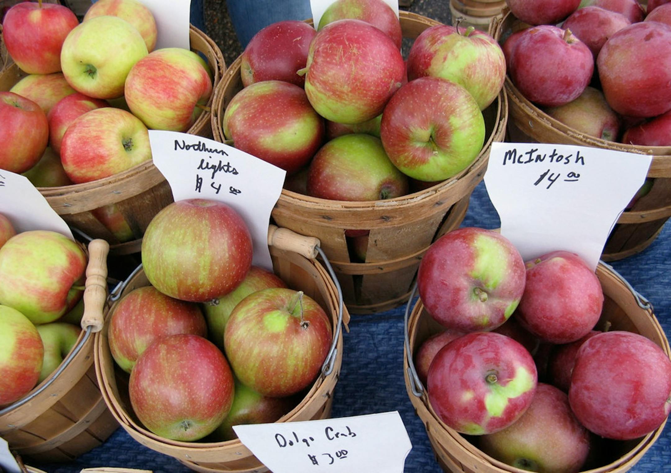 Fresh apples at the Bloomington Farmers Market.