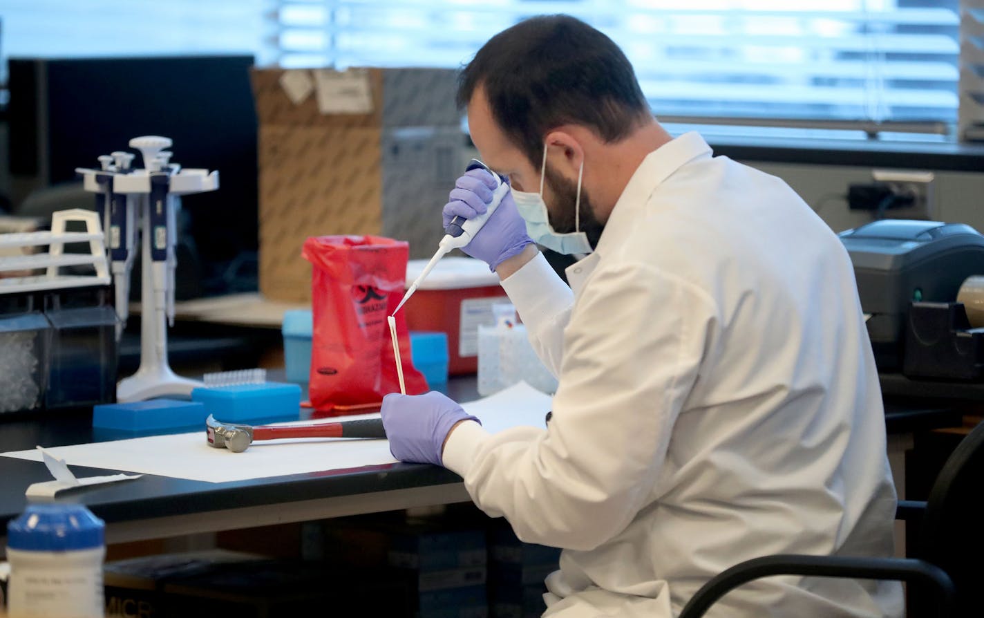 The TriCounty Regional Forensic Laboratory is dealing with an ongoing influx of case submissions, particularly in its DNA lab. Here, Tony Johnson, a forensic scientist, prepares to swab a hammer for DNA that is evidence in a legal case Wednesday, Nov. 23, 2016, in Andover, MN.] (DAVID JOLES/STARTRIBUNE)djoles@startribune.com The Tri County Regional Forensic Lab in Anoka County is looking for another DNA technician to meet its growing demand for testing. The lab, one of four accredited in the sta