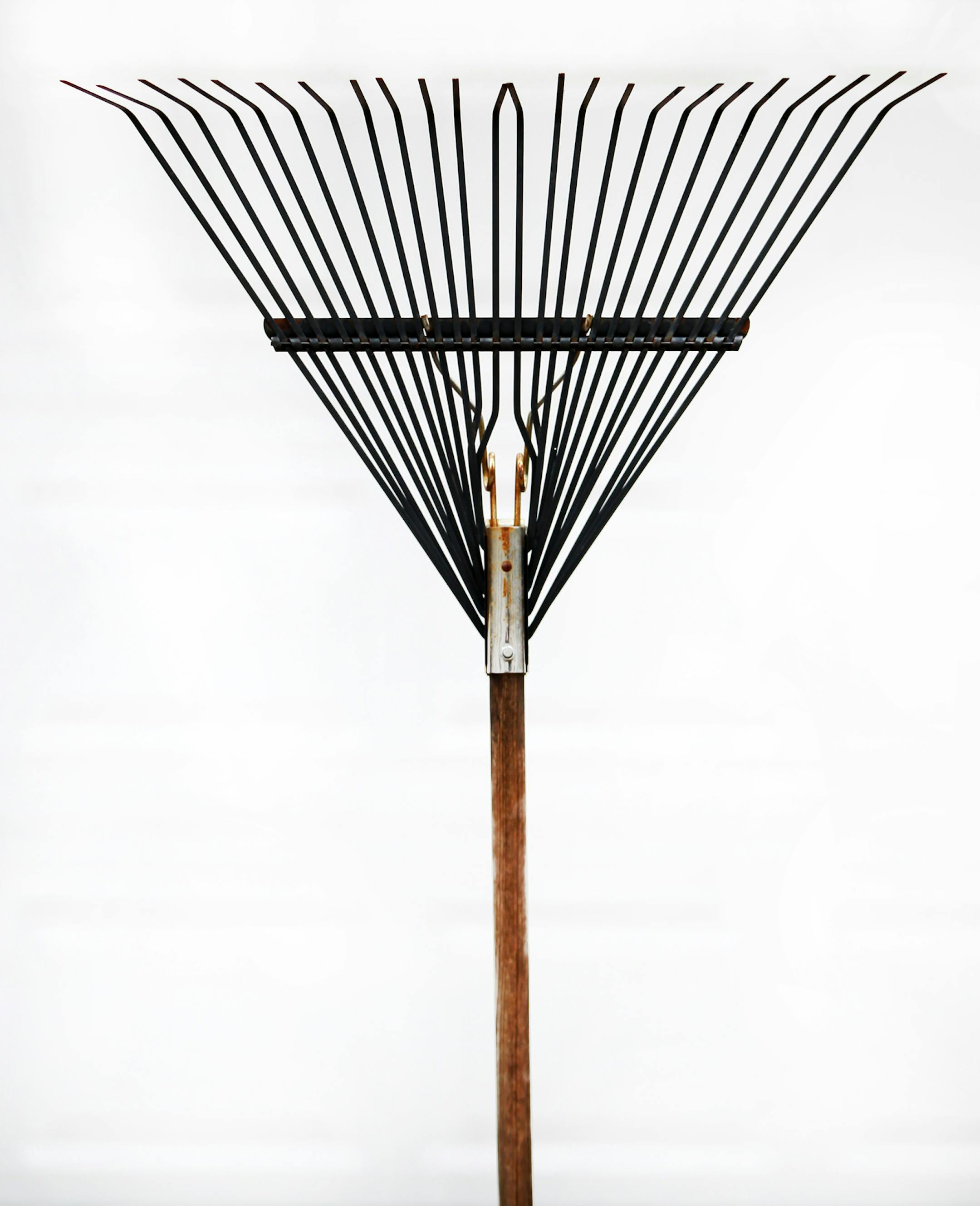 illustration widget for Mike rice illustration page STAR TRIBUNE/TOM WALLACE Assignments #20028465A April 8, 2013 EXTRA INFORMATION SLUG & MAGIC SAXO#: donotrake0417 EXTRA INFORMATION: Do not rake illustration