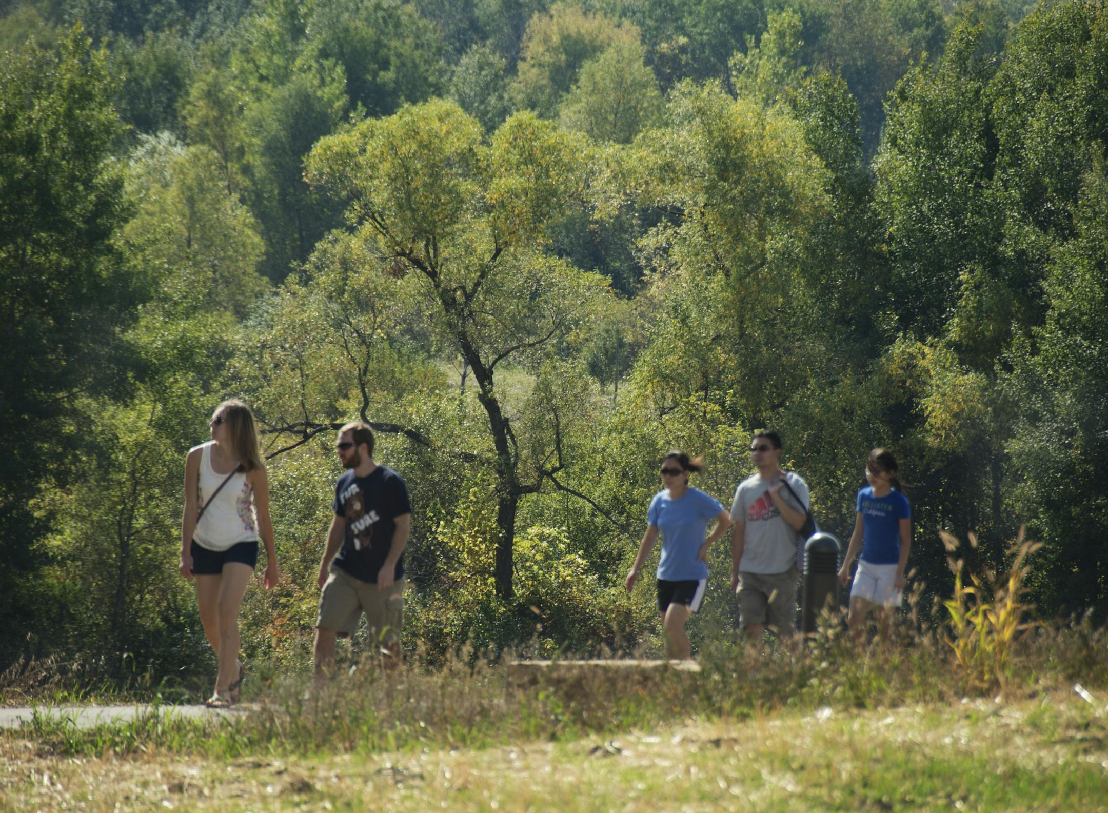 Hikers trying out the tails at the open day of the Whitetail Woods regional park in Dakota County. ] The first major new park in 30 years opens this weekend in a Dakota County that is eager to stem the heavy flow of parks users across their borders and into the celebrated systems in the central cities. Whitetail Woods, at 456 acres, is unique in the state and perhaps the nation because its an off-the-shelf creation that is being presented to parks users brand new and fully-formed, rather than ev