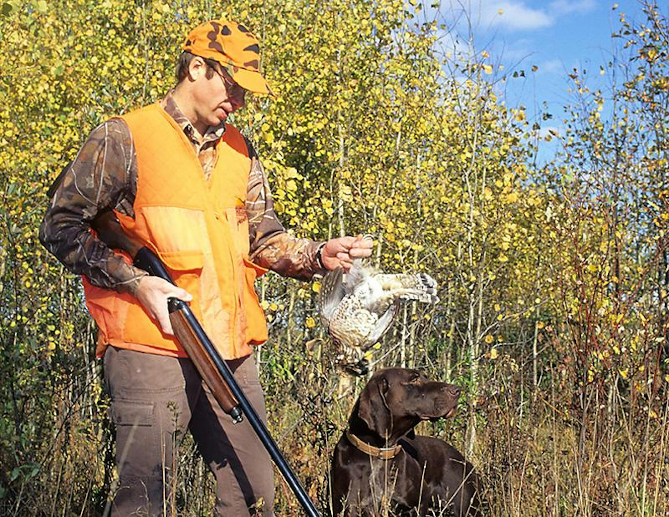 The next few weeks will be the best ruffed grouse hunting of the season as leaves turn color and fall to ground.