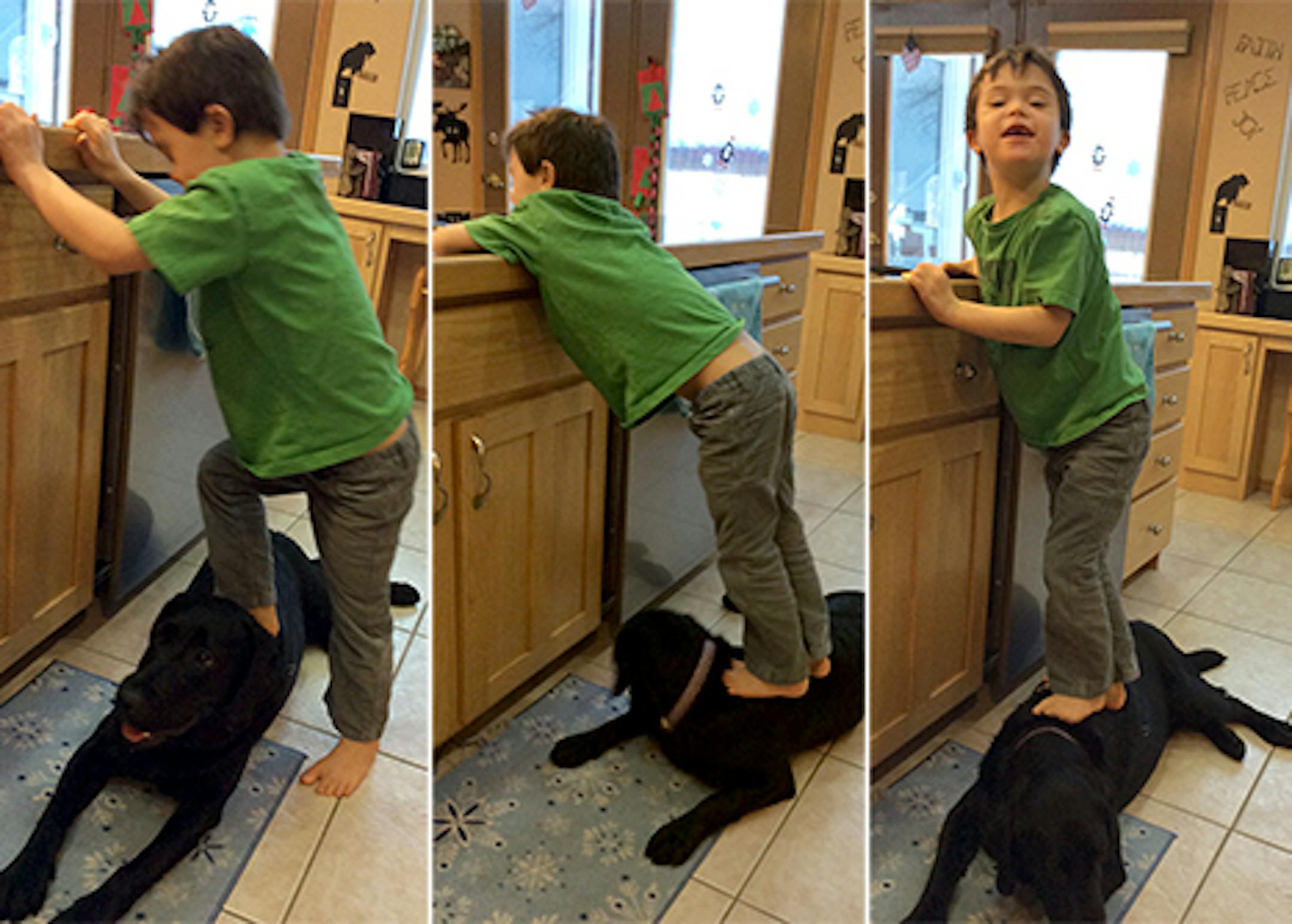 These photos on Sarah Palin's Facebook page show son Trig, 6, using the family dog to reach the sink.