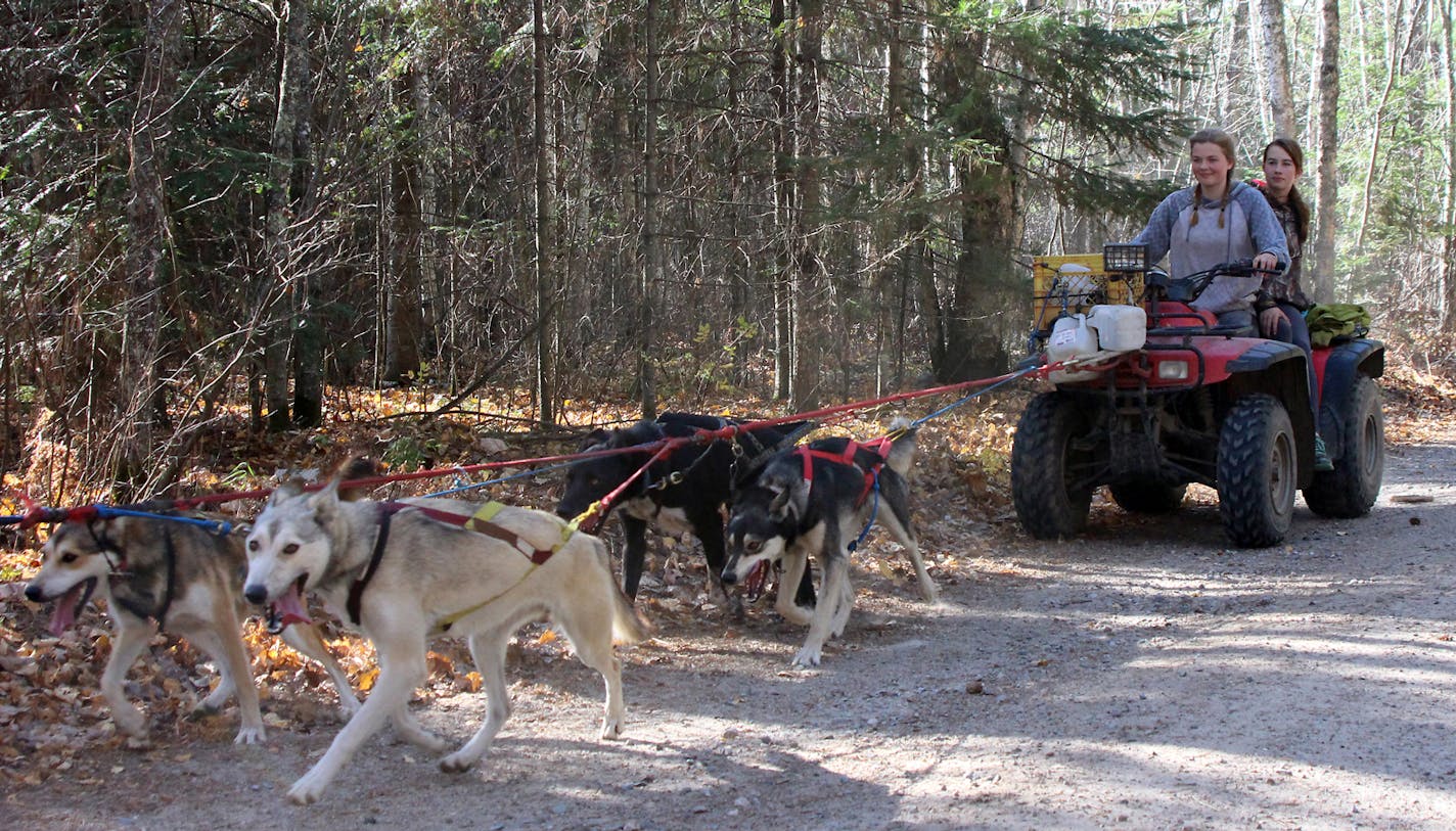 Nicole Grangroth, left, and her sister Brenna used an ATV for sled dog training Oct. 20 during a mushers' gathering near Togo, Minn.