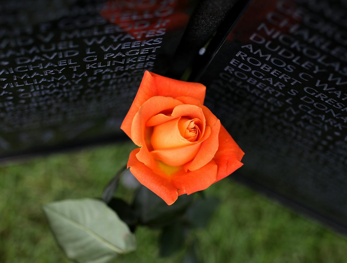 The Wall That Heals, a 375-foot by 7.5-foot wall that is a traveling replica of the Vietnam Veteran's Memorial in Washington and includes 58,000 plus names of Vietnam Veterans who died between 1959 and 1975 during service, will be on the Capitol grounds through Sunday. Here, a rose sits at the corner of the wall where the names begin in 1959 on the right panel and end in 1975 on the left panel and seen Thursday in St. Paul. According to a volunteer, a woman who said her Vietnam vet husband had r