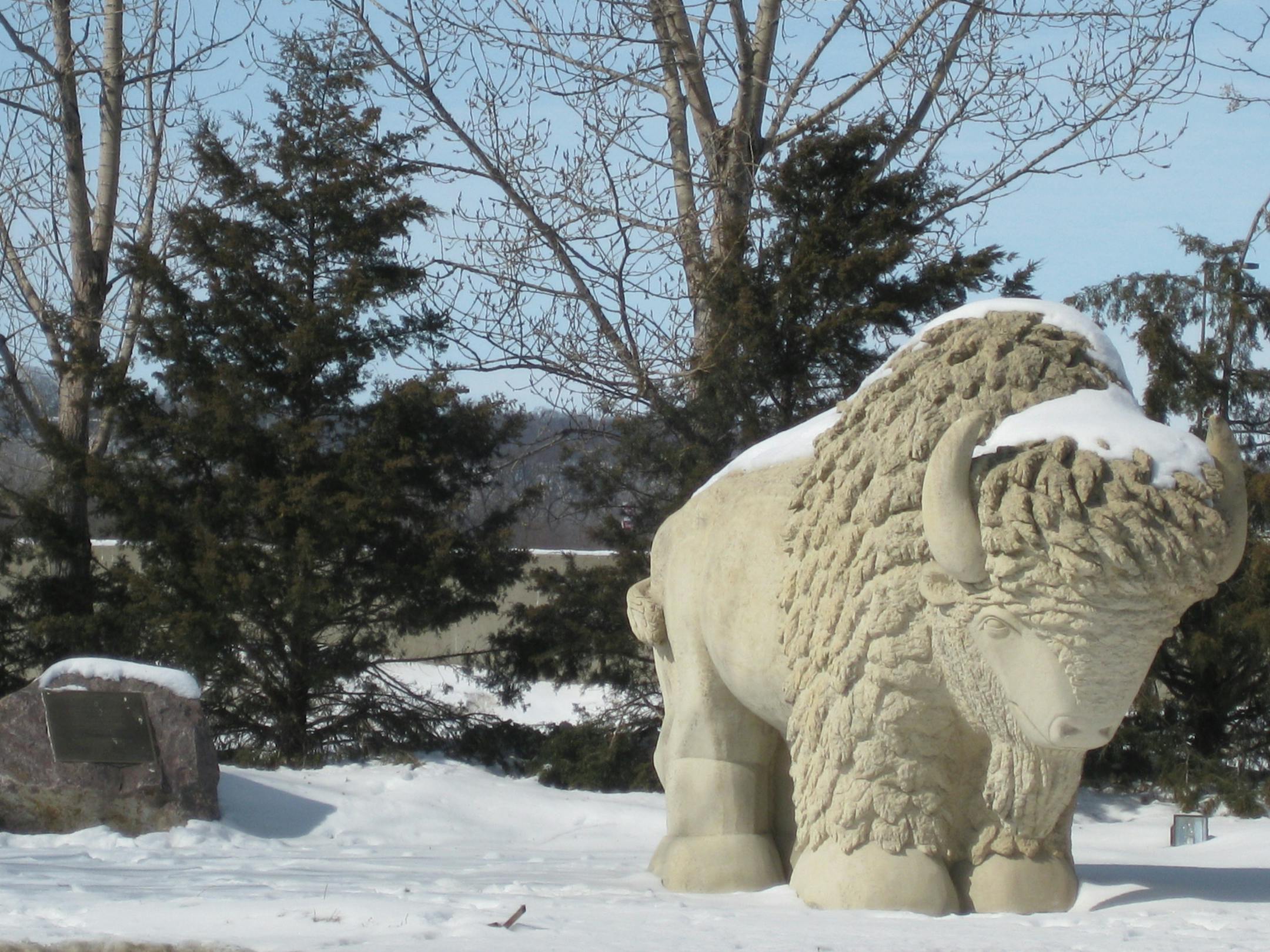 Photo 7: A buffalo statue by local sculptor Thomas Miller stands in Reconciliation Park. The park was dedicated in 1997 on the site where 38 Dakota Indians were hanged by the government in 1862 in the largest mass execution in the country’s history. Photo by Joy Riggs.