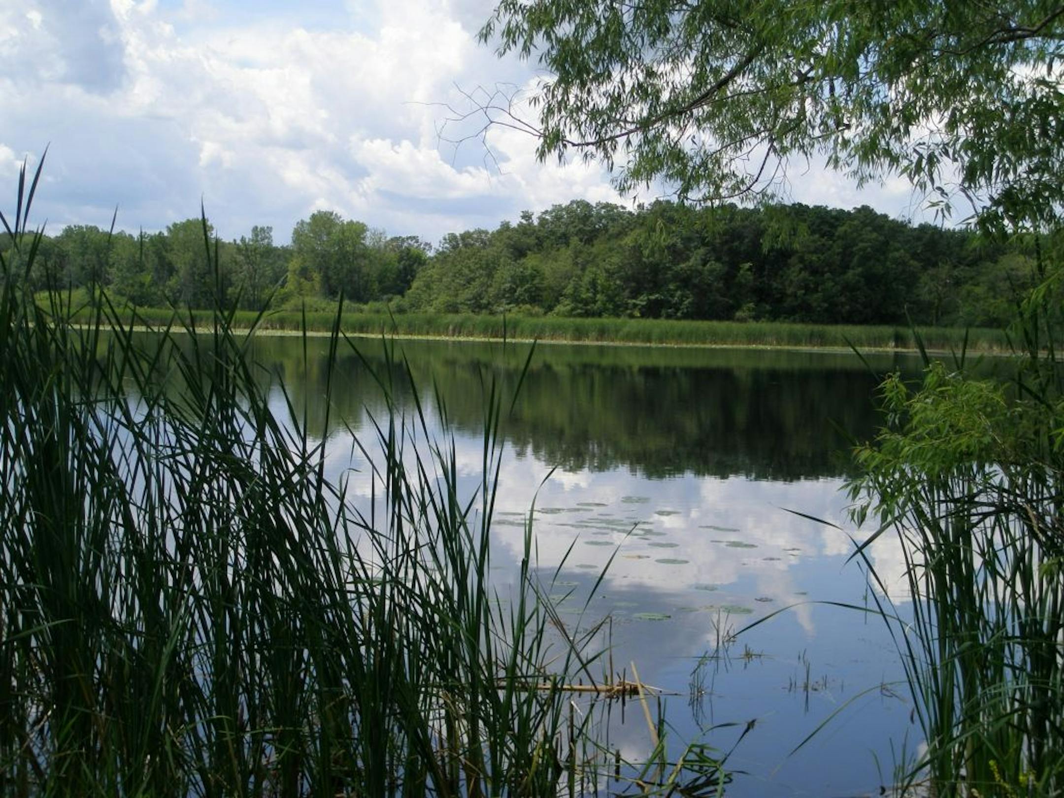 Provided by Three Rivers Park District This is a view from one of the multi-use trail around Minnregs Lake in Murphy-Hanrehan Park Reserve. The Three Rivers Park District is working on improving access to the park by building a new parking lot off Judicial Road in the southeastern part of the park reserve, near Minnregs Lake.