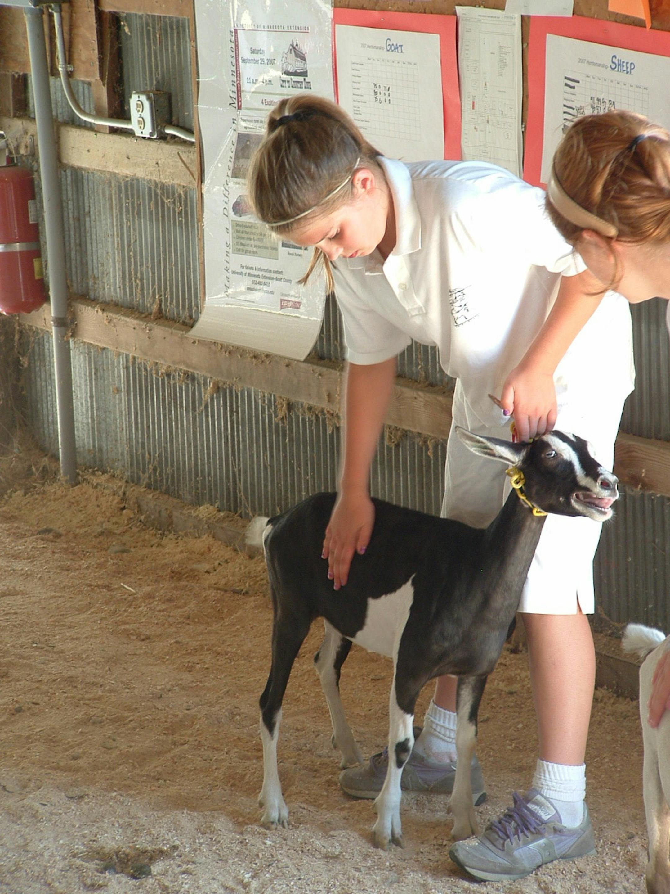 2007 Scott County Fair