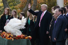 President Donald Trump waves during the National Thanksgiving Turkey Pardoning Ceremony with Drumstick the turkey in the Rose Garden of the White Hous