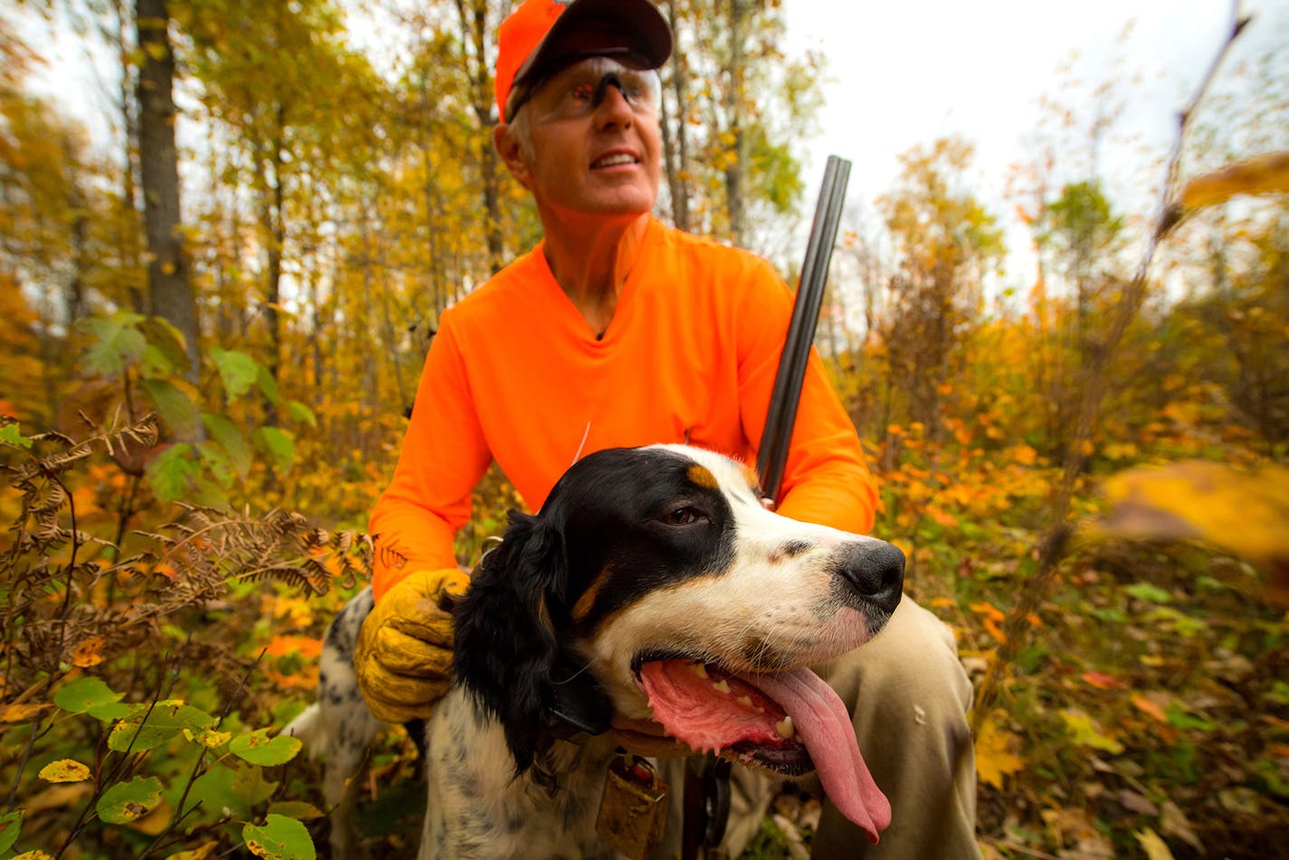 Former Minnesota Viking Keith Nord, a Minnetonka High School and St. Cloud State graduate, has been happiest in his post-athletic career when following one of his three dogs through Minnesota's grouse woods or North Dakota's prairies. Nord has been diagnosed with cancer. (Brian Grossenbacher) ORG XMIT: 1240513