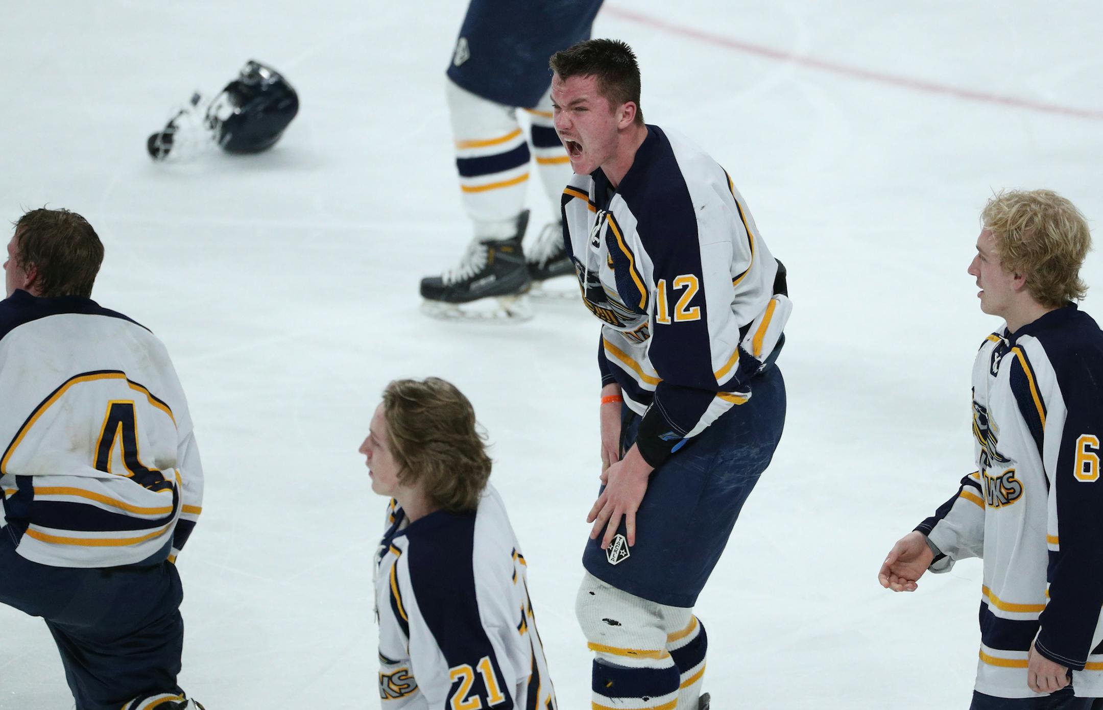 Hermantown players including Dylan Samberg (12) react after a goal scored in overtime that sent them into celebration was waved off after review. ] ANTHONY SOUFFLE &#xef; anthony.souffle@startribune.com Players competed during the boys' hockey state tournament Class 1A championship game Saturday, March 11, 2017 at the Xcel Energy Center in St. Paul, Minn.