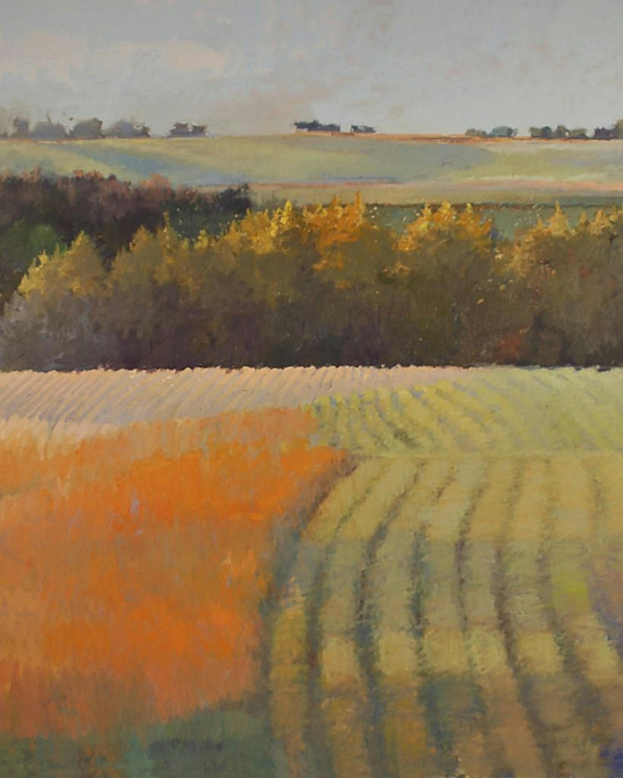"Bean Field at Dusk" by Tom Maakestad.