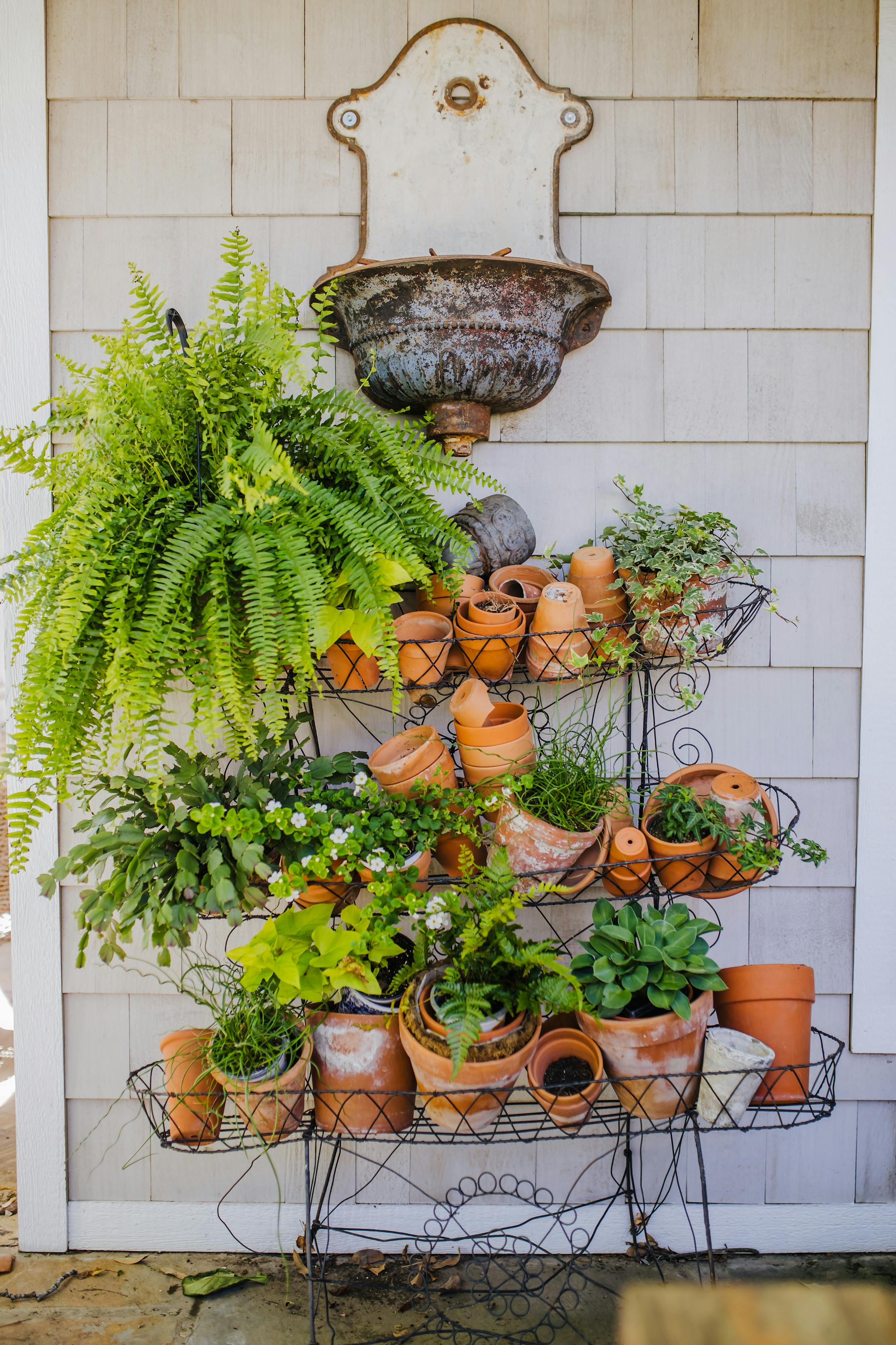 Planters house living botanicals and flowers. (Nell Hill's/TNS)