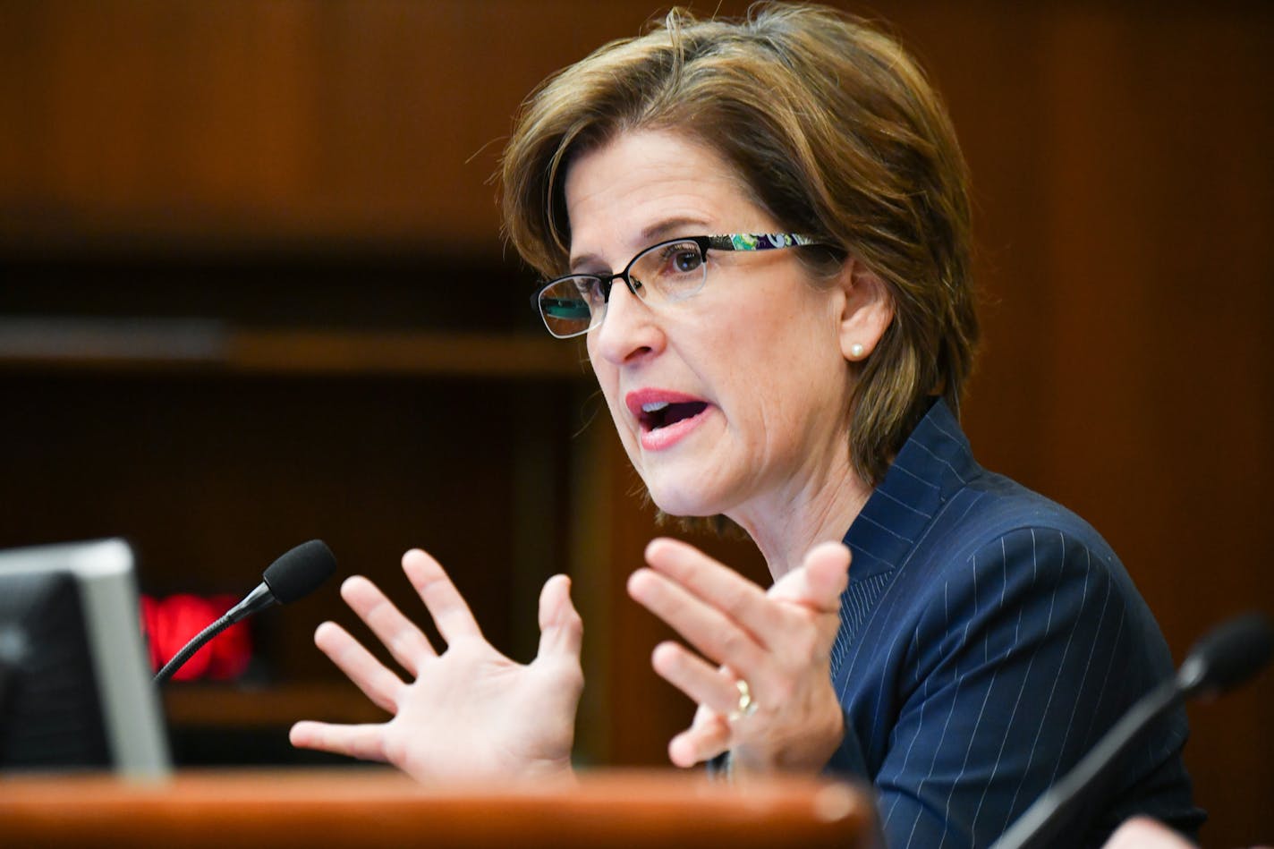 State Auditor Rebecca Otto defended her actions and her agency's budget before tough questioning from members of the House State Government Finance Committee. ] GLEN STUBBE &#x2022; glen.stubbe@startribune.com Wednesday February 15, 2017 State Auditor Rebecca Otto, who is fighting to preserve her office from attacks by the Legislature, appeared before a House committee today as they considered bills that would negatively impact her office.