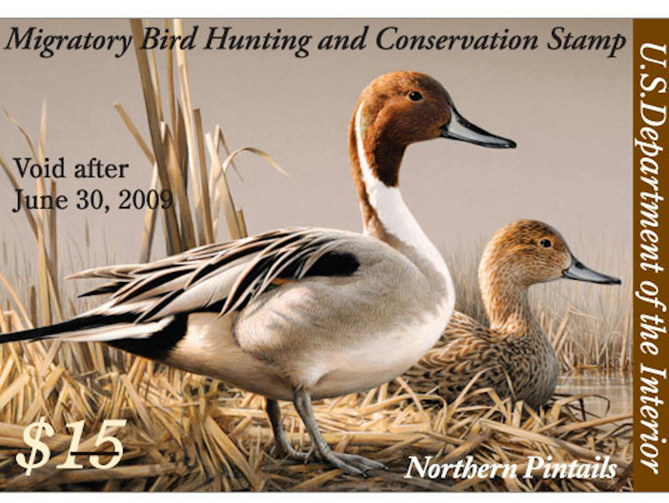2009 Duck Stamp migratory bird hunting and conservation stamp