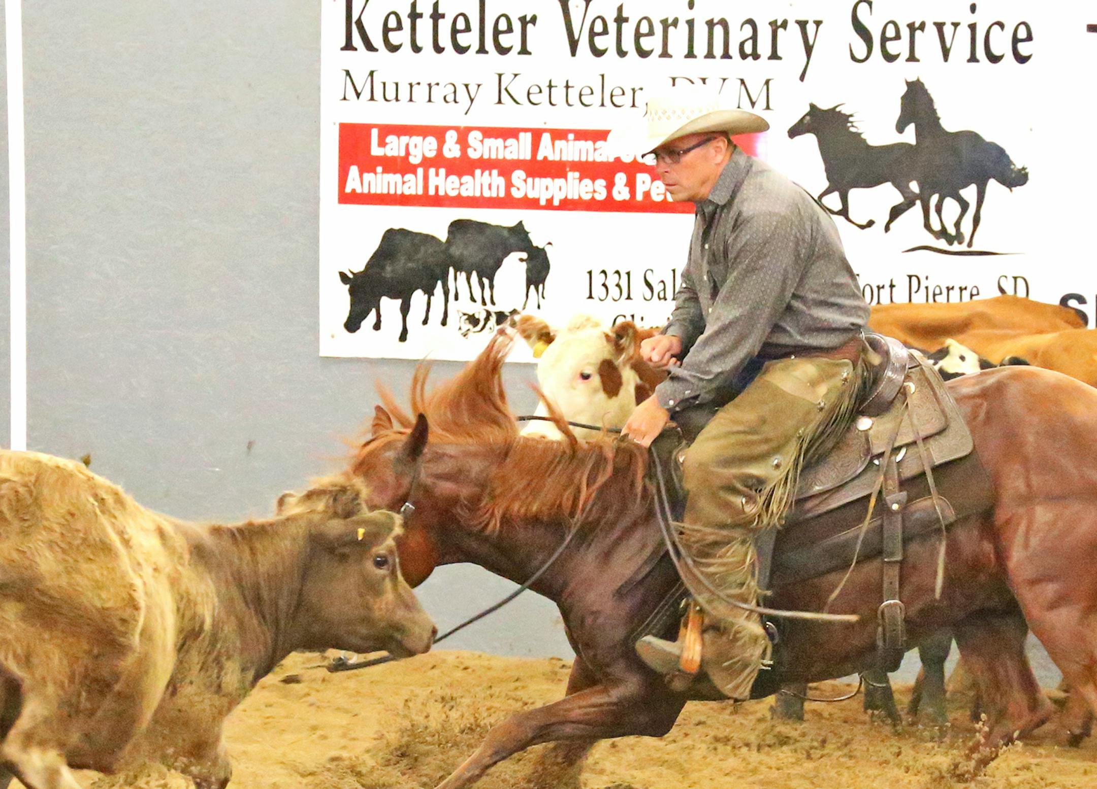 Ken Boyle of Lawton, Iowa, competing this weekend in a multistate cutting near Pierre, S.D.