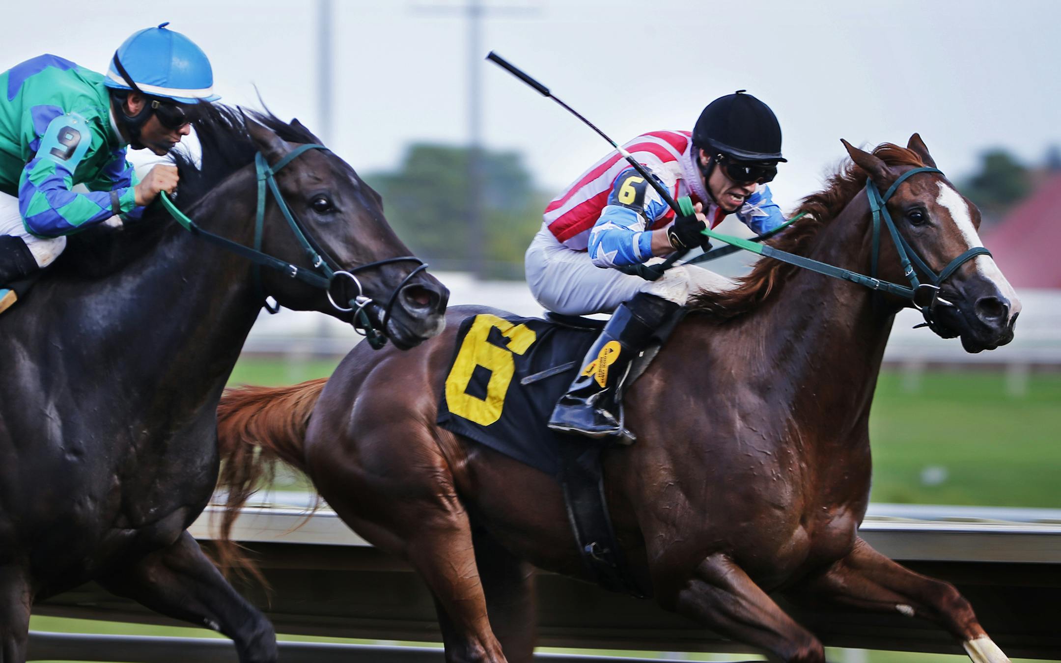 At Canterbury Park, in race seven, Jorge Carreno rode Smooth Chiraz(9) to victory on the outside against Giovanni Franco on Cupid's Delight(6).]Richard Tsong-Taatarii/rtsong-taatarii@startribune.com