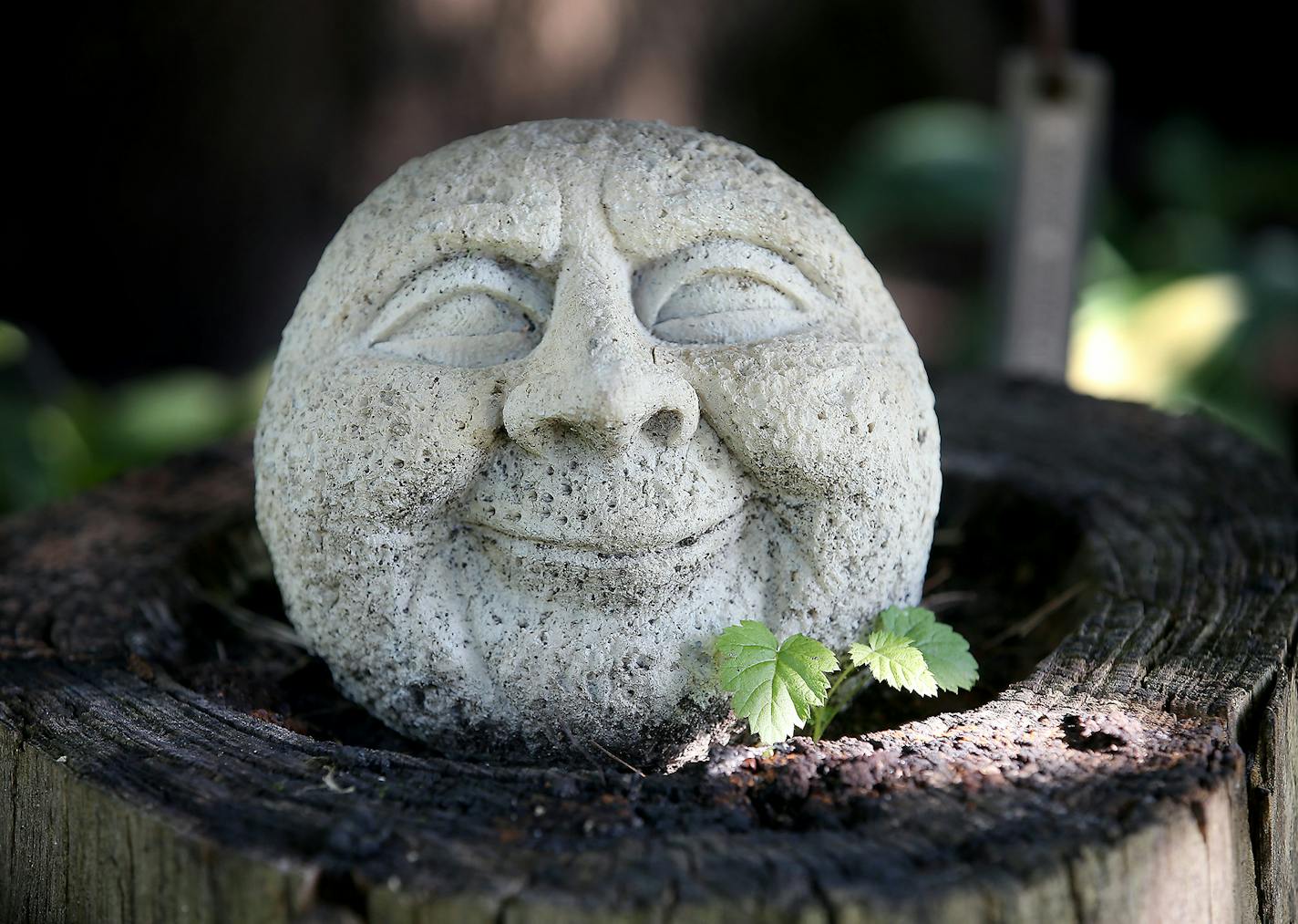 Kathy and Mike Pedersen's garden in Shakopee. ] (ELIZABETH FLORES/STAR TRIBUNE) ELIZABETH FLORES &#x2022; eflores@startribune.com ORG XMIT: MIN1508211531580558