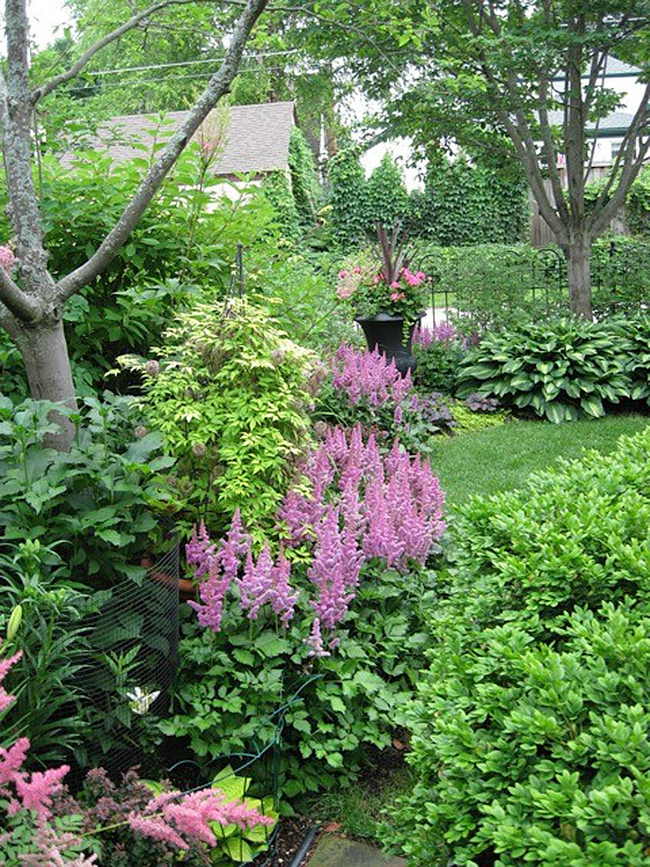 Freeman's backyard garden has several garden rooms.