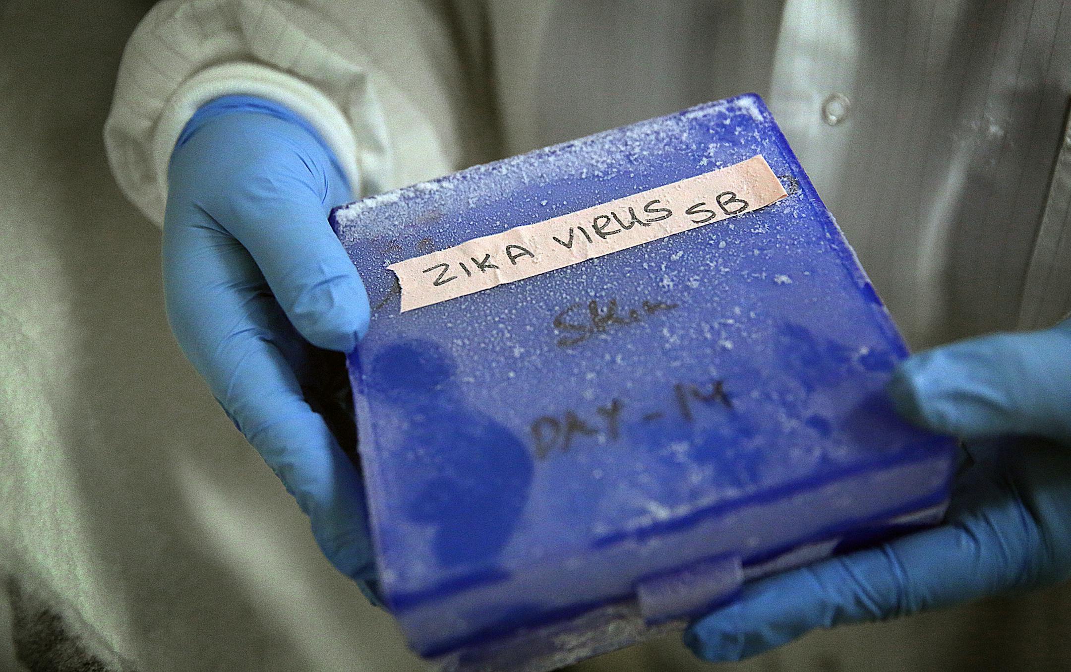 Susan Belzer, vice president of Diagnostics at MD Biosciences, held samples of the Zika virus used by scientists at the firm to develop a test for the virus. The Zika virus samples are stored at -80 Centigrade. ] JIM GEHRZ ï james.gehrz@startribune.com /St. Paul, MN / March 3, 2016 /1:00 PM ñ BACKGROUND INFORMATION: A St. Paul based diagnostics company is racing to develop a reliable assay test to detect the Zika virus in human blood samples. Several companies across the country are do