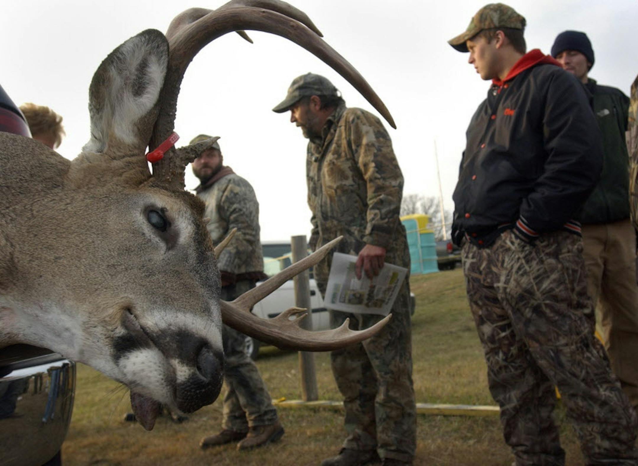 Bow hunter Mark Meyer (center) of Bear Creek, Wis., is framed by the rack of the 244-pound, 12-point buck he bagged during the Camp Ripley bow hunt. Meyer was one of 2,208 hunters participating in the first of two two-day hunts.
