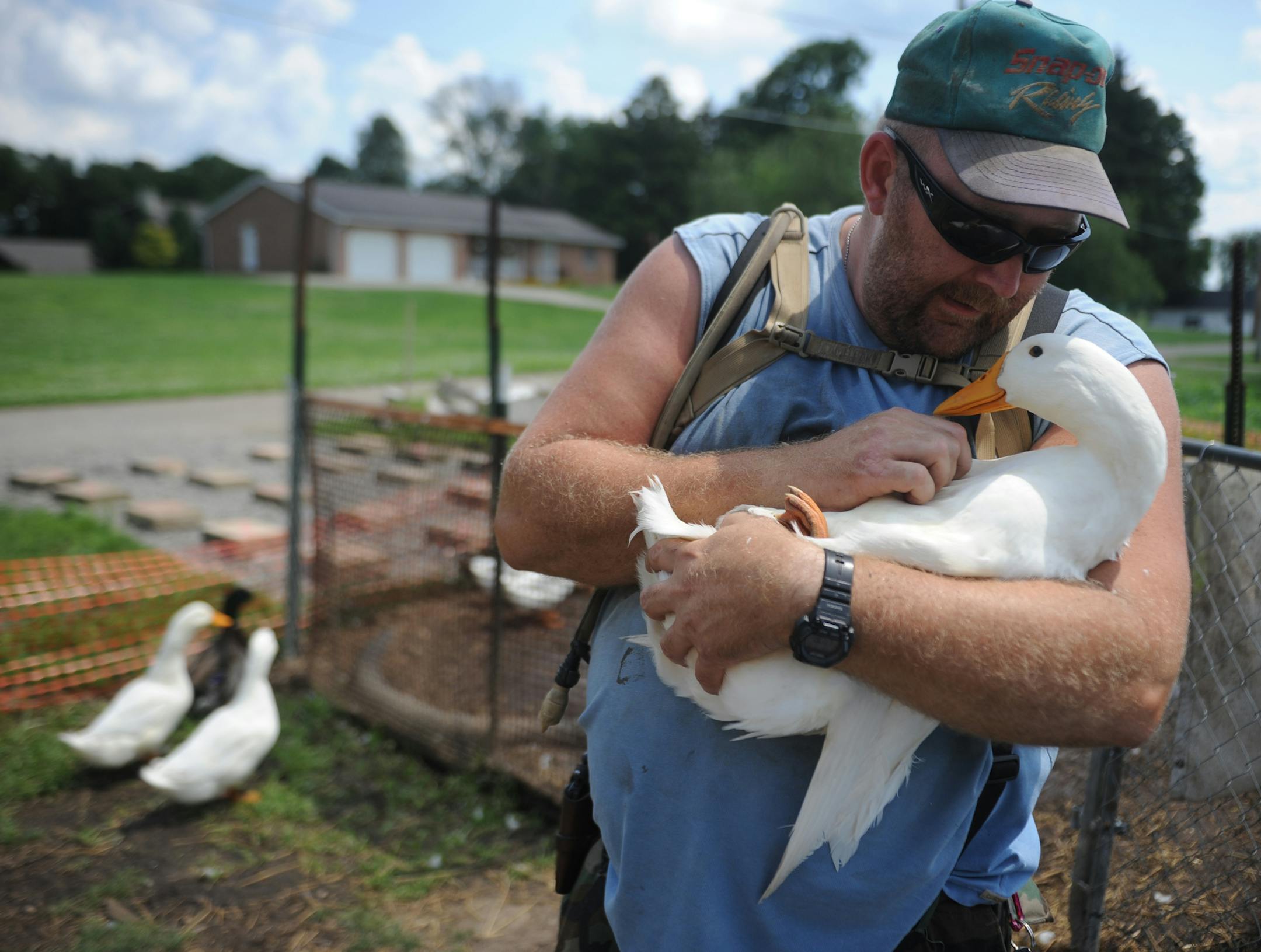In this Thursday, July 10, 2014 photo, Iraq war veteran Darin Welker, 36, holds one of his ducks at his home in West Lafayette, Ohio. Welker, who served a year in 2005 for the Army National Guard, says his 14 pet ducks serve as mental and physical therapy for him. He's worried he'll have to give them up after village officials told him in May he can't keep them on his property. Welker was cited with a minor misdemeanor June 23 for having the ducks in his yard. He is scheduled to appear in Coshoc