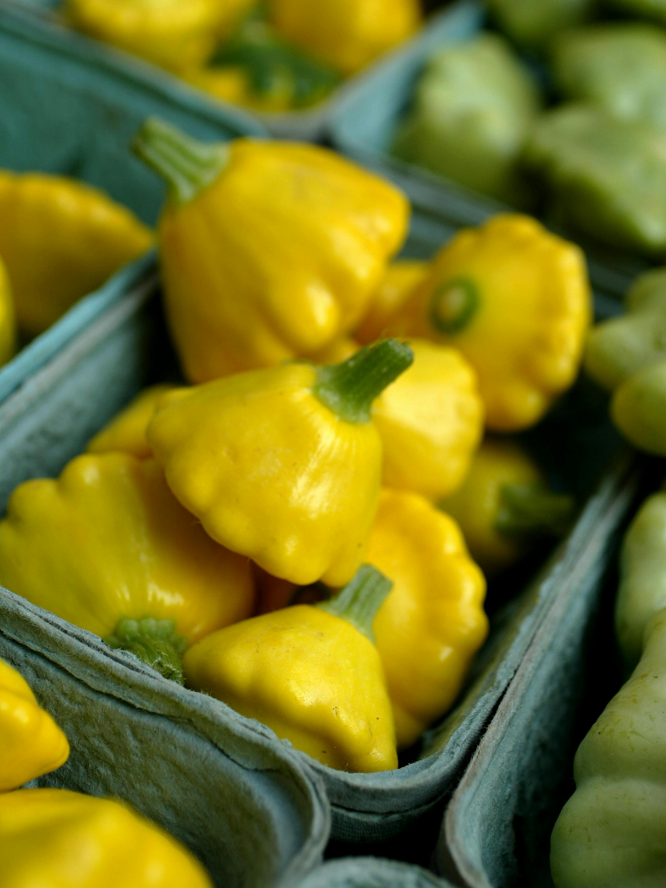 Pattypan squash appeals to kids.