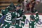 Bemidji State is one of seven teams that will leave the WCHA for the new CCHA following the 2020-21 season.
