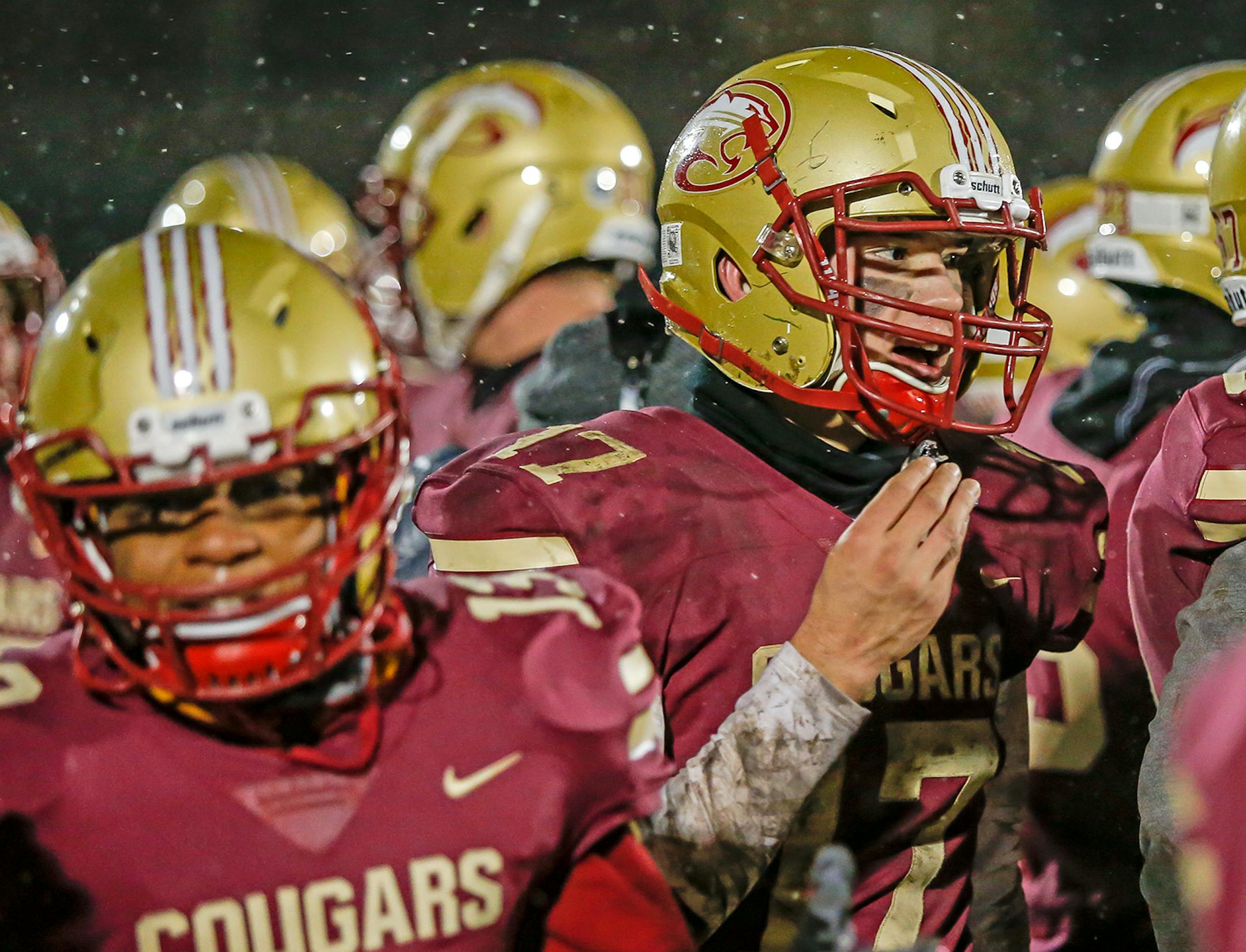 Lakeville South&#xed;s Brady Torborg gathered congratulations on the sideline after his 51-yard interception return for a touchdown sealed the Cougars&#xed; 13-0 Class 6A first-round football playoff victory over Woodbury. Photo by Mark Hvidsten, SportsEngine