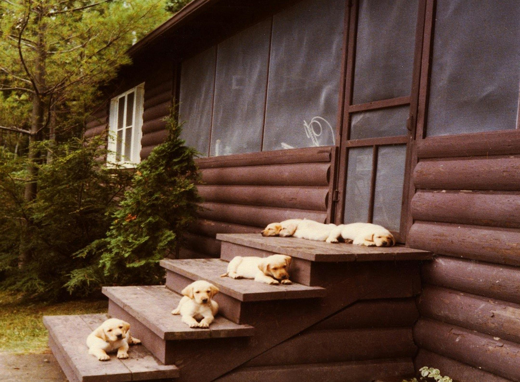 "Our great grandfather bought the piece of land back in 1904 when he was surveying to build a short line railroad through Northwestern Wisconsin."