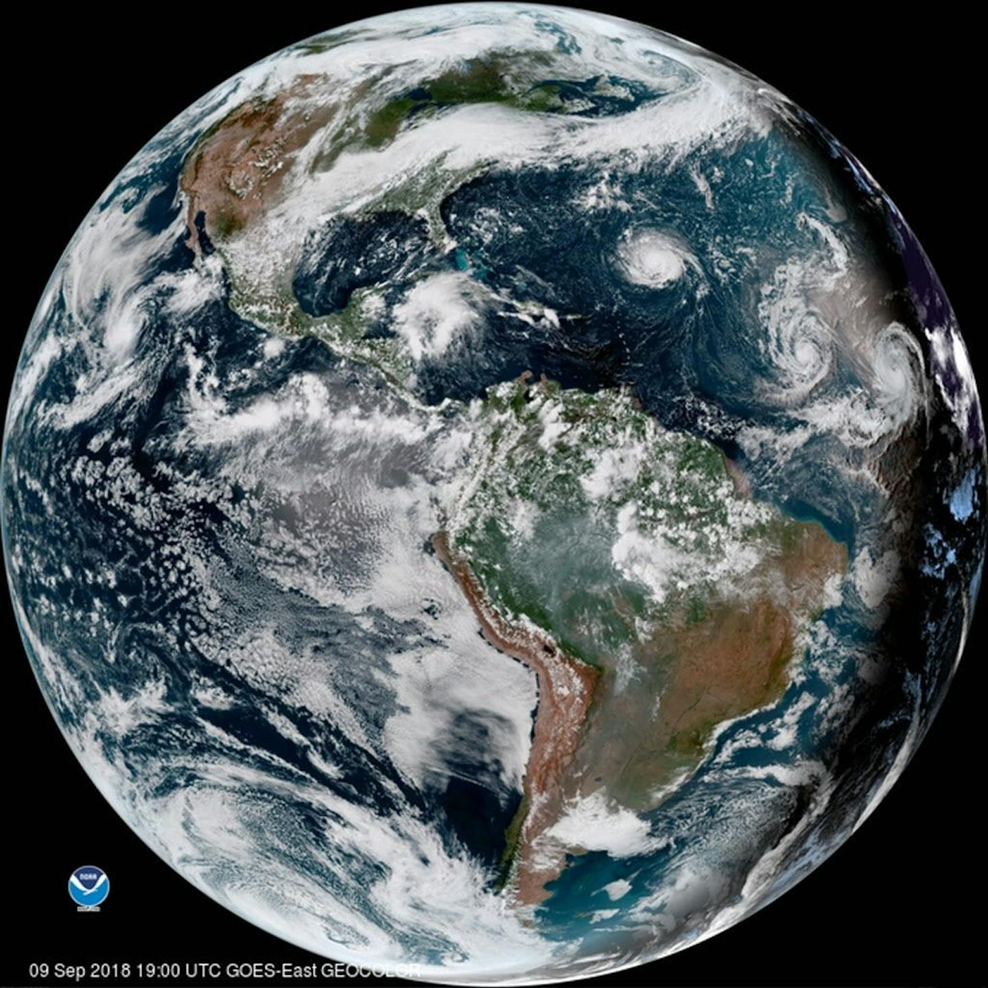 This enhanced satellite image provided by NOAA shows Hurricane Florence, third from right, in the Atlantic Ocean on Sunday, Sept. 9, 2018. At right is Tropical Storm Helene, and second from right is Tropical Storm Isaac.