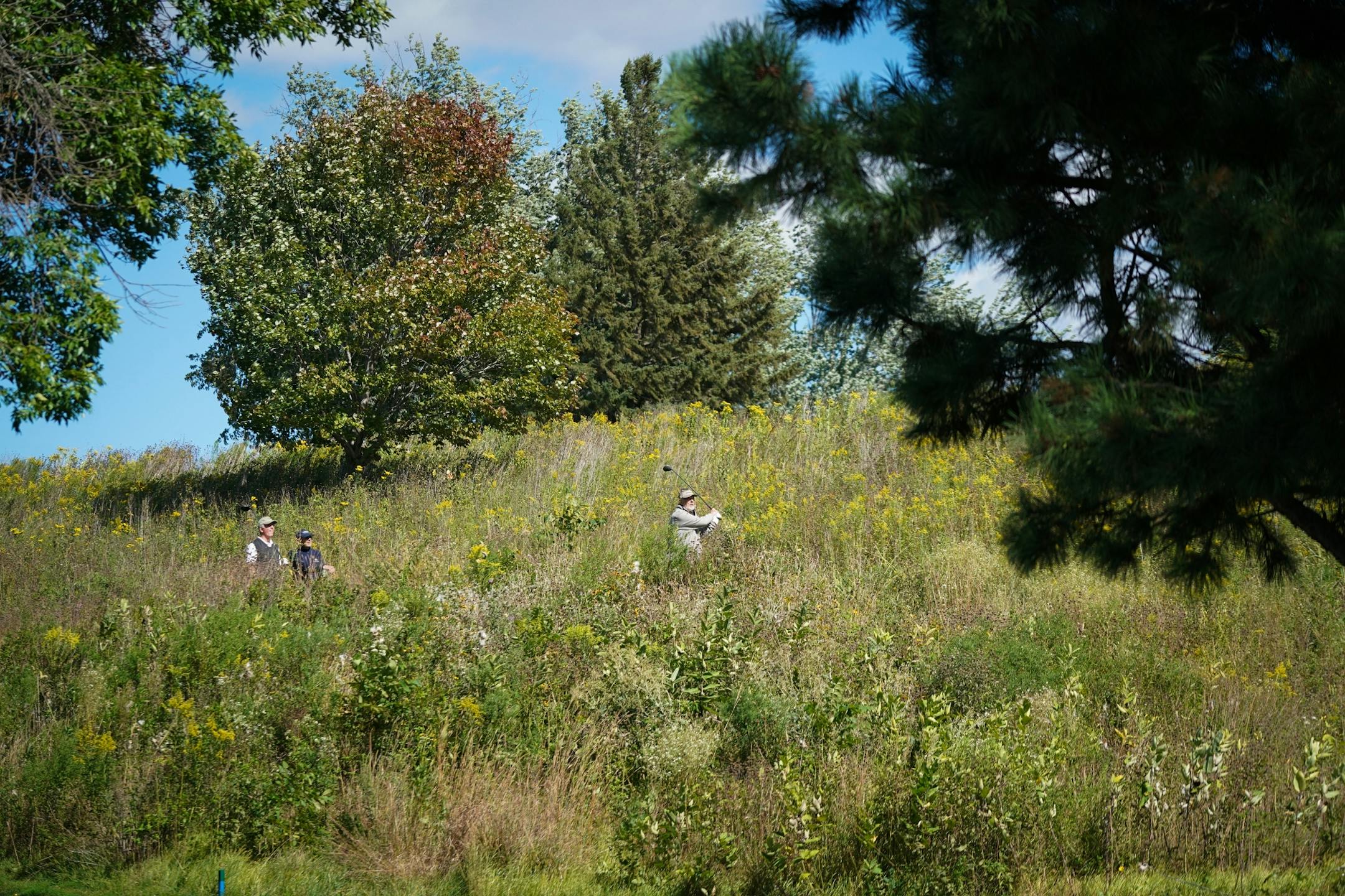 A golfer found himself in the rough at Keller Golf Course in Maplewood.